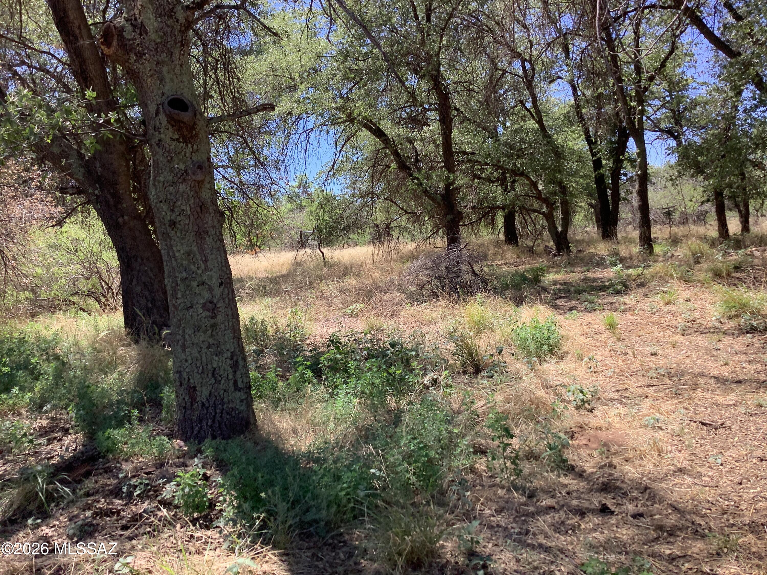 Turkey Creek Ranch - Residential