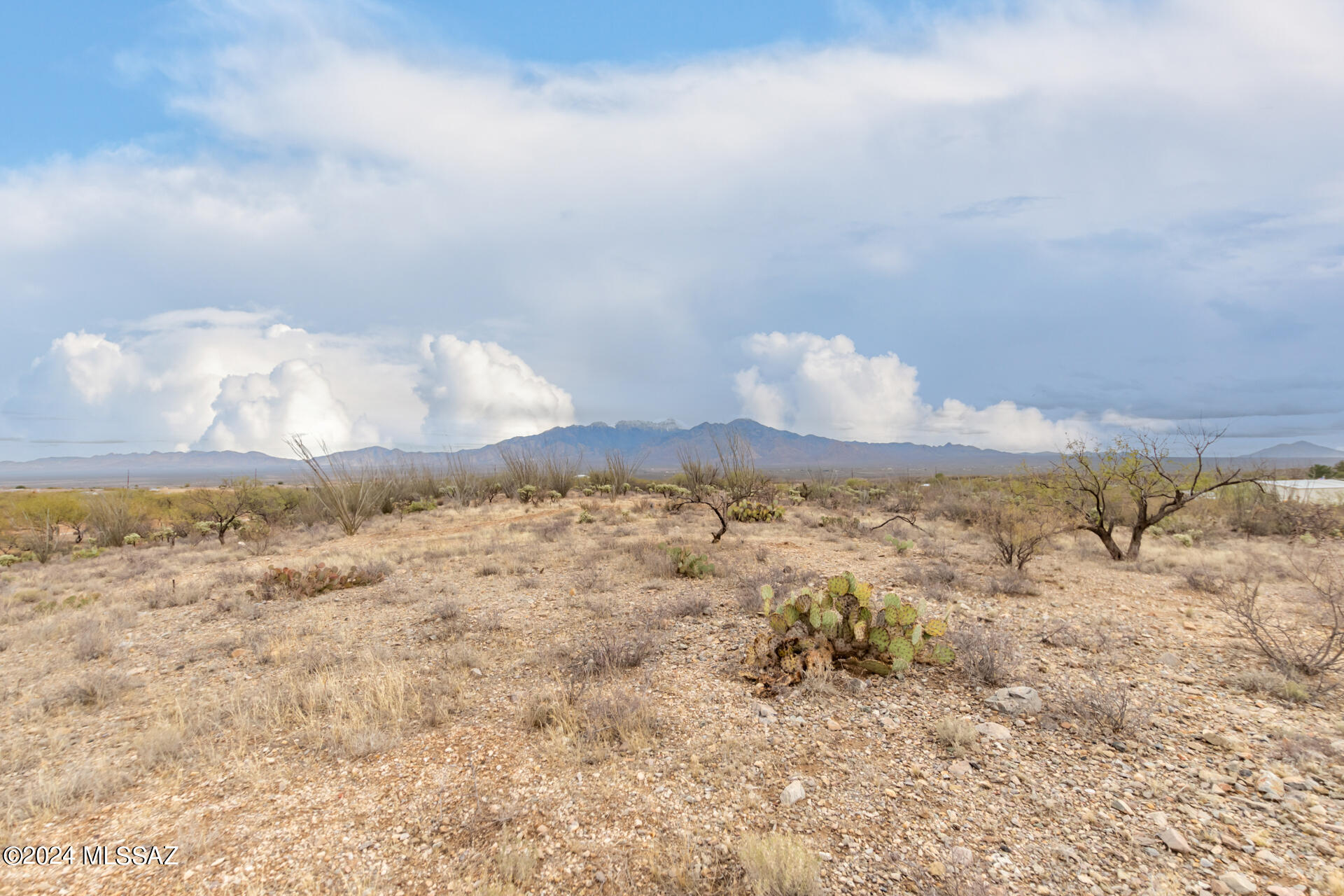 25520 S Via Montana Vista 114