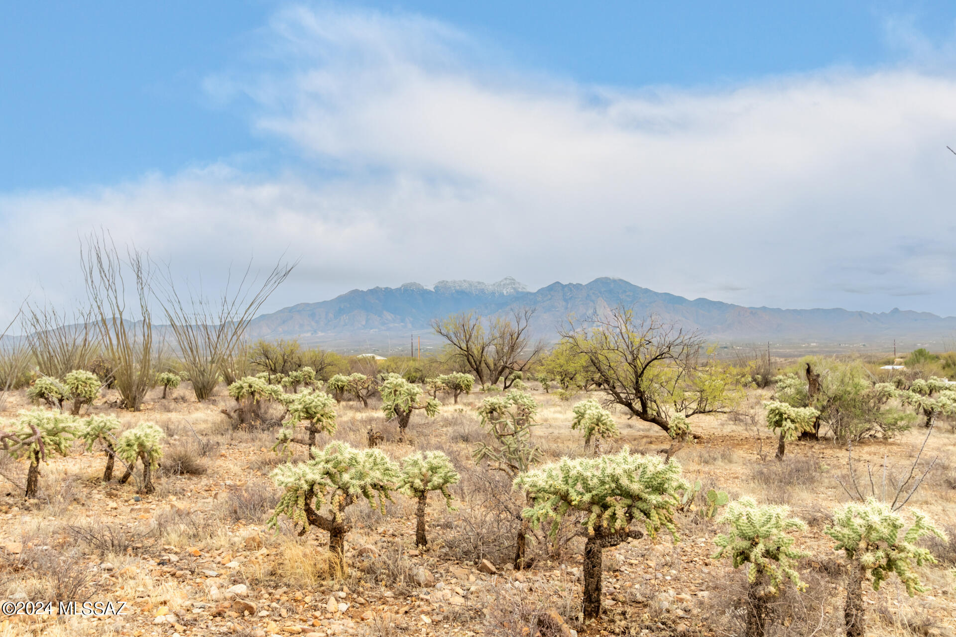 25520 S Via Montana Vista 114