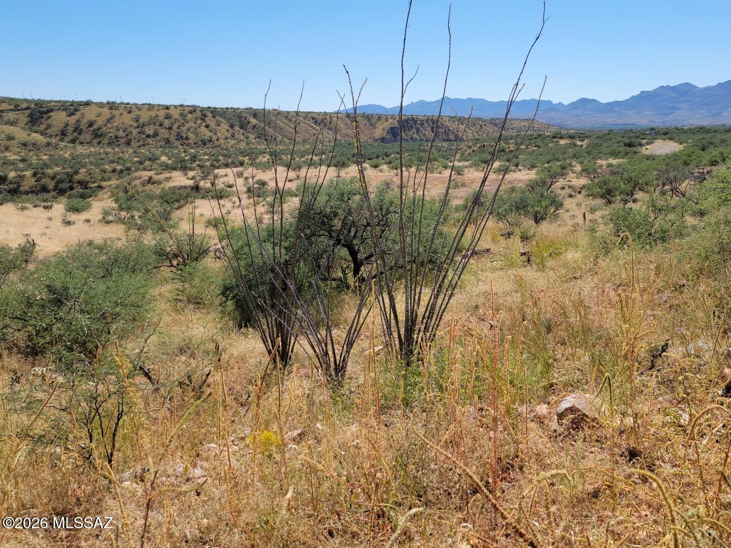 Tubac Foothills Ranch - Land