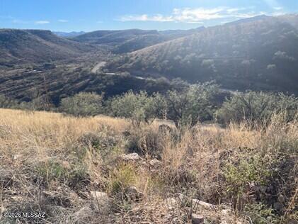 Rio Rico Ranchettes 7 - Land