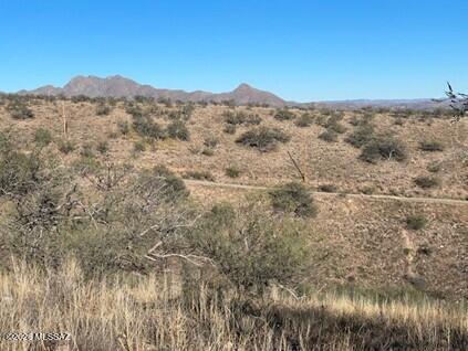 Rio Rico Ranchettes 7 - Land