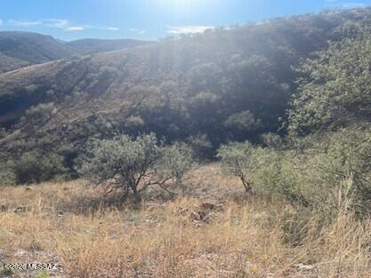 Rio Rico Ranchettes 7 - Land