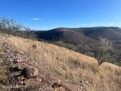 Rio Rico Ranchettes 7 - Land