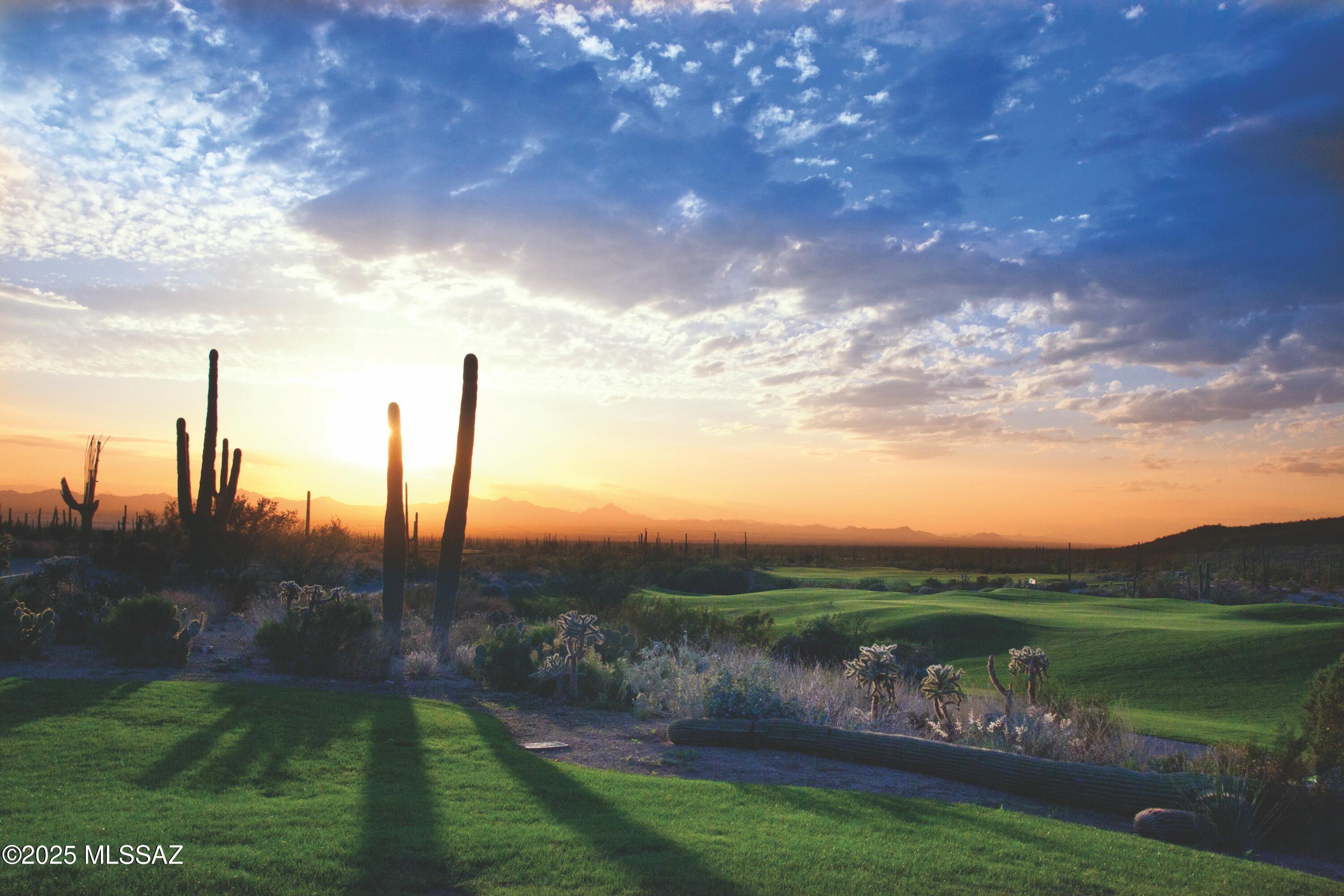 Dove Mountain Resort (1-153) - Land
