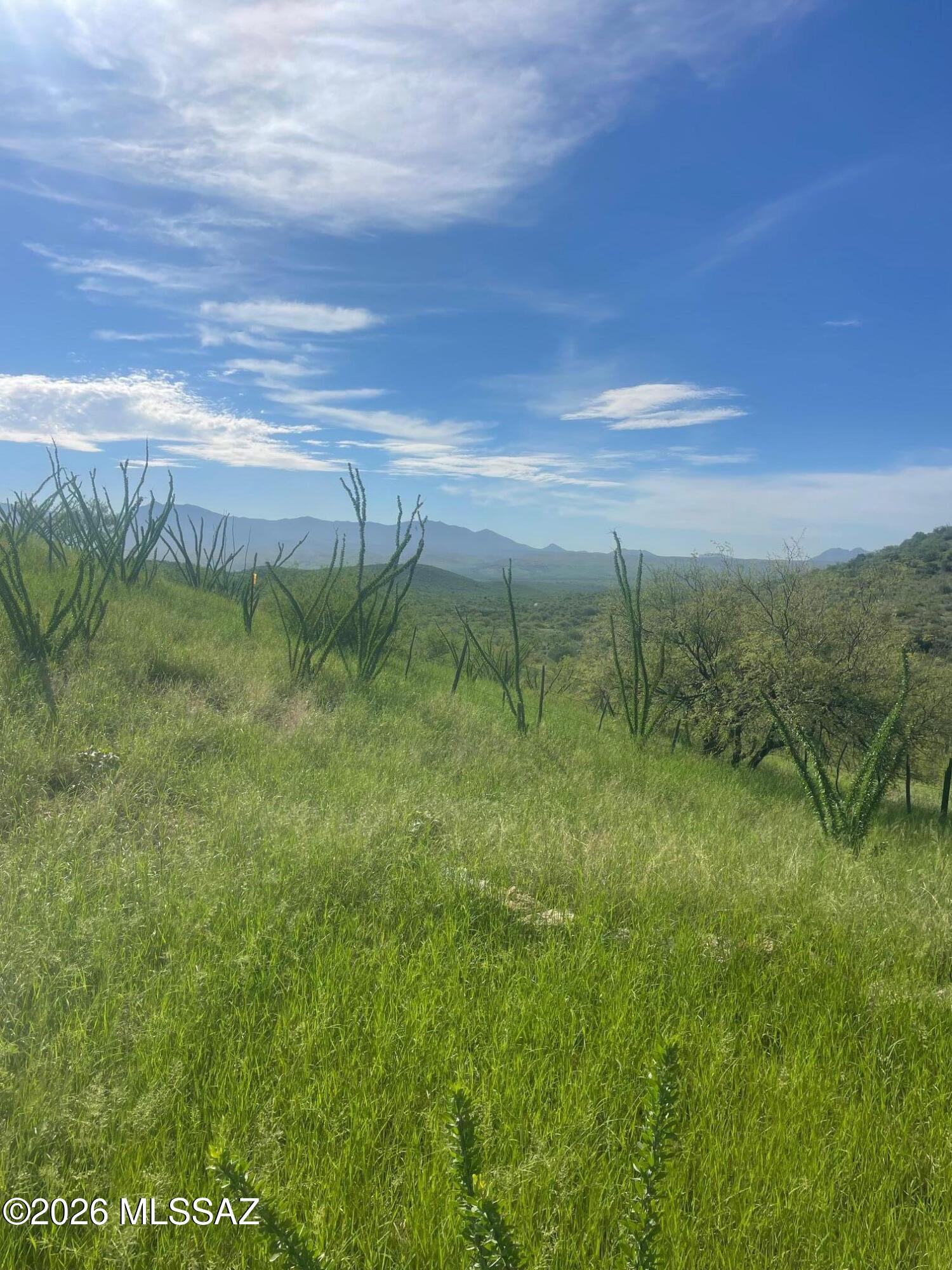 21425 S Black Tail Deer Mine Road R