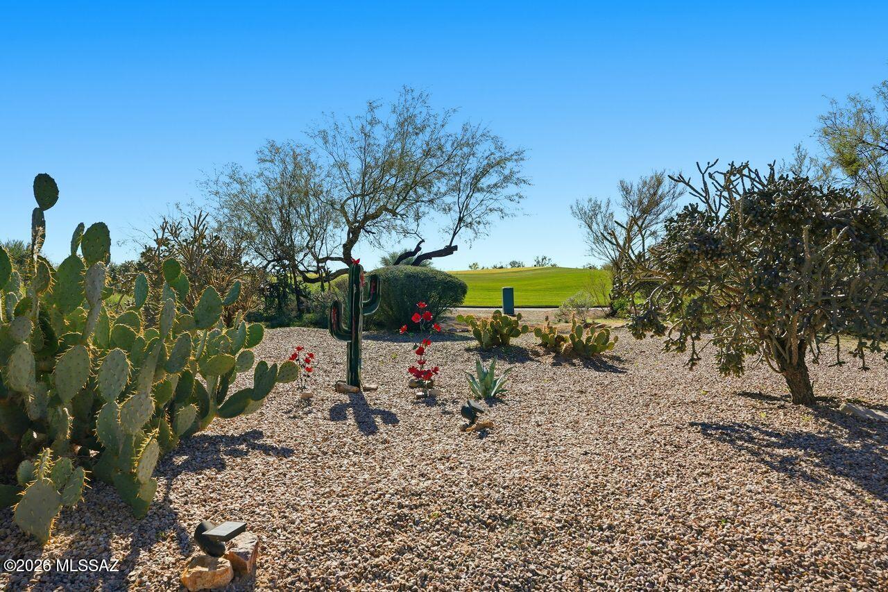 Dos Lagos at Dove Mountain (1-91) - Residential