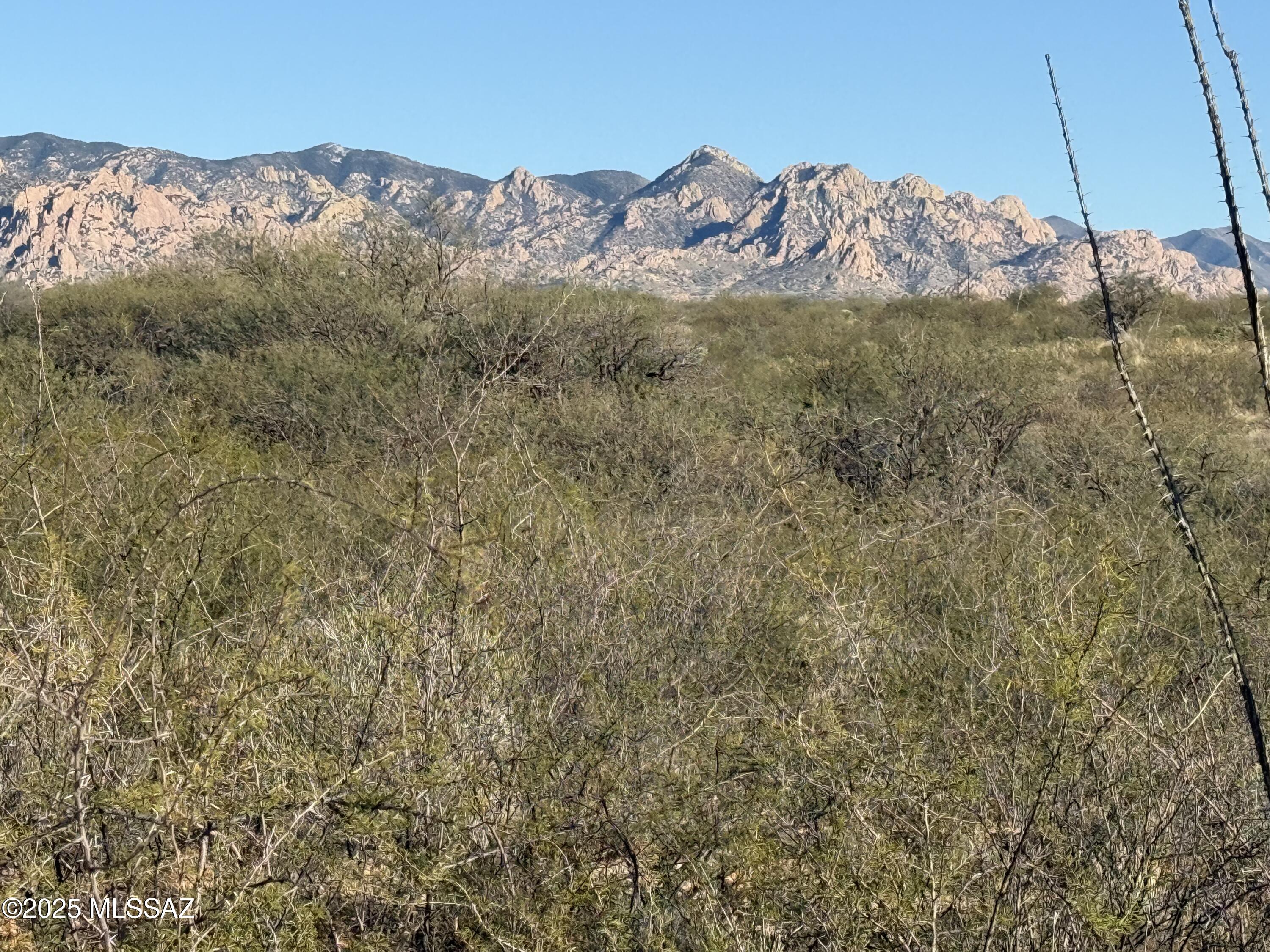 Dragoon Mountain Ranch - Land