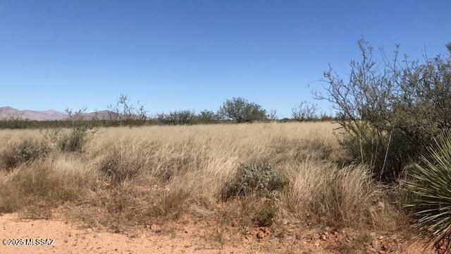 Dragoon Mountain Ranch - Land
