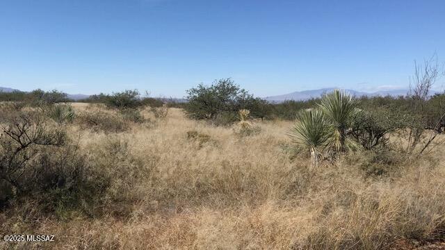 Dragoon Mountain Ranch - Land