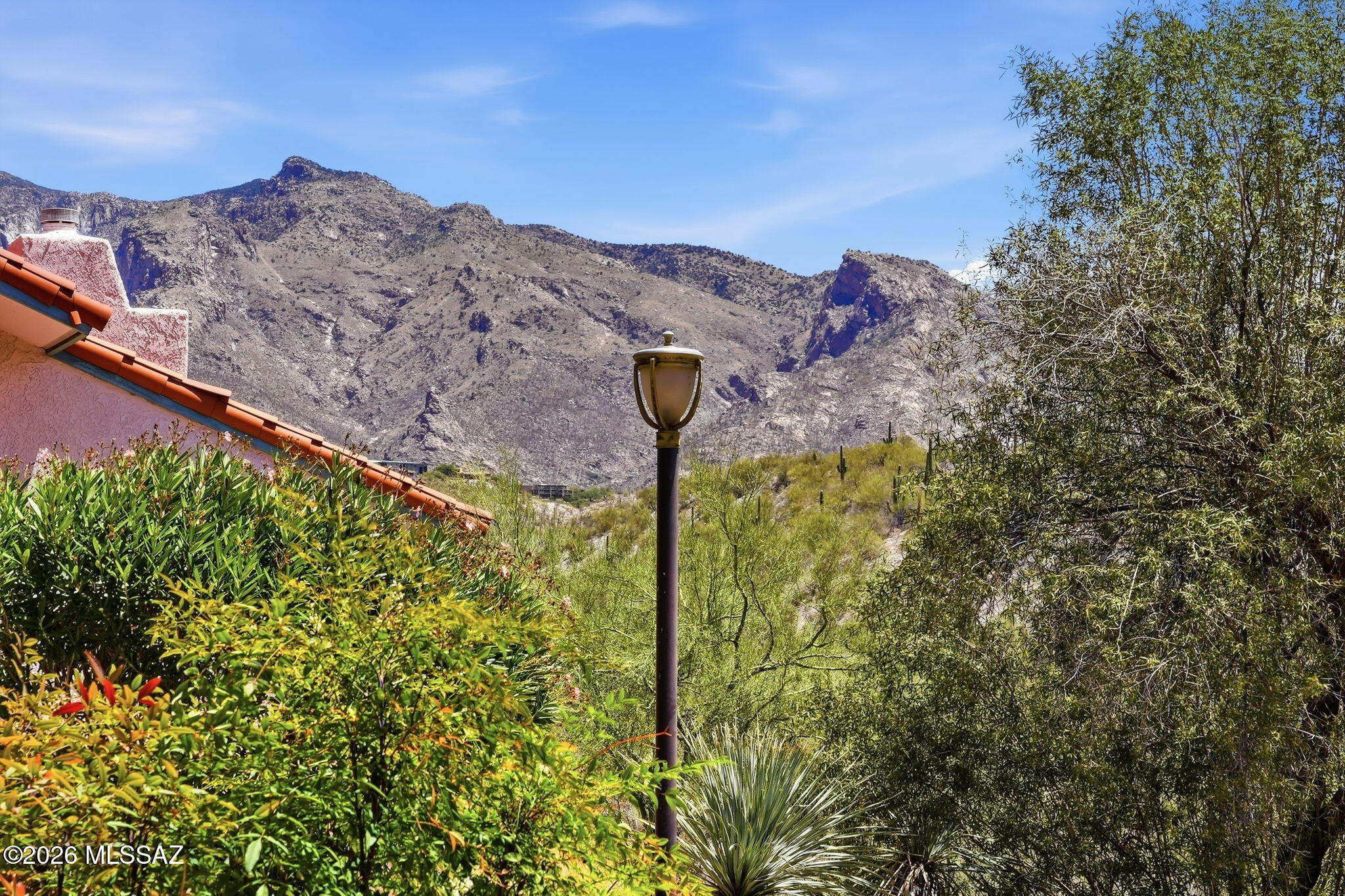 6490 N Tierra De Las Catalinas 91