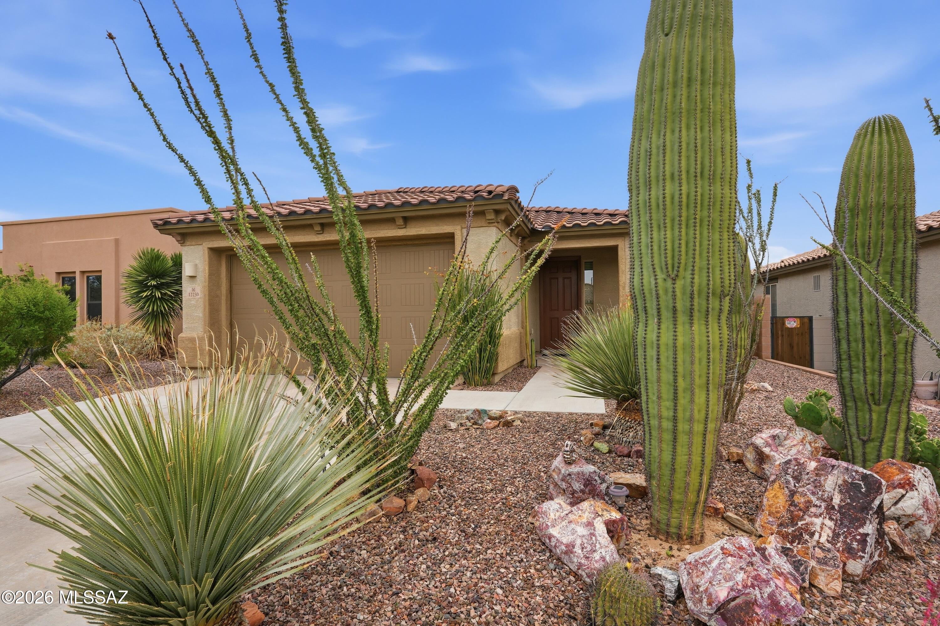 Preserve IV at Dove Mountain (487-529, 535-576, 606-650) - Residential