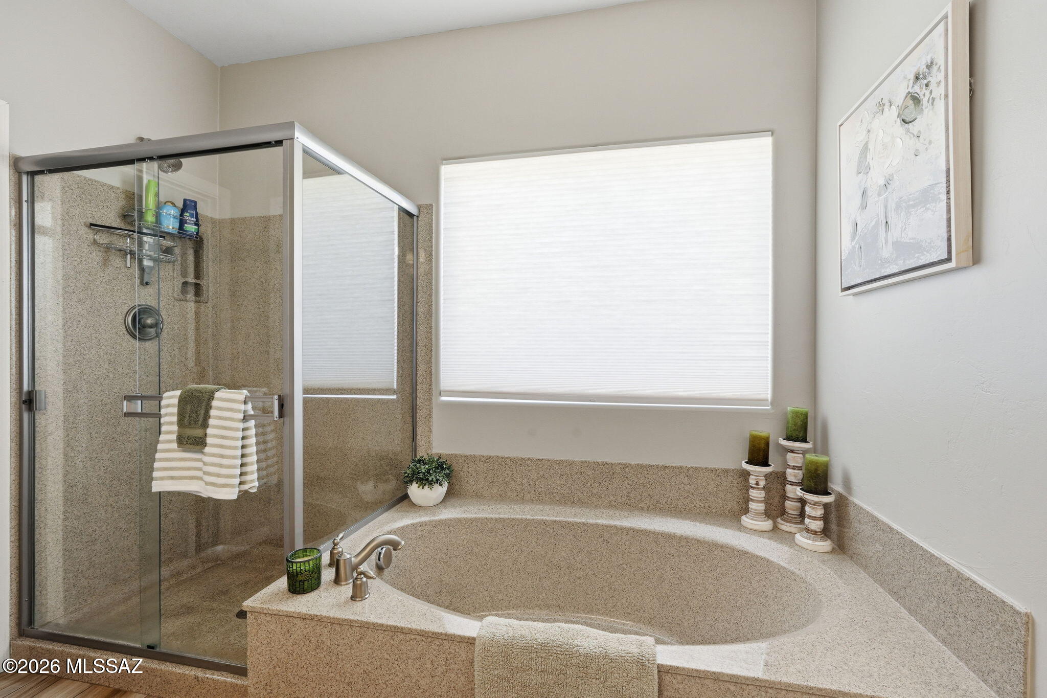 Rancho Vistoso Neighborhood 10 - Residential