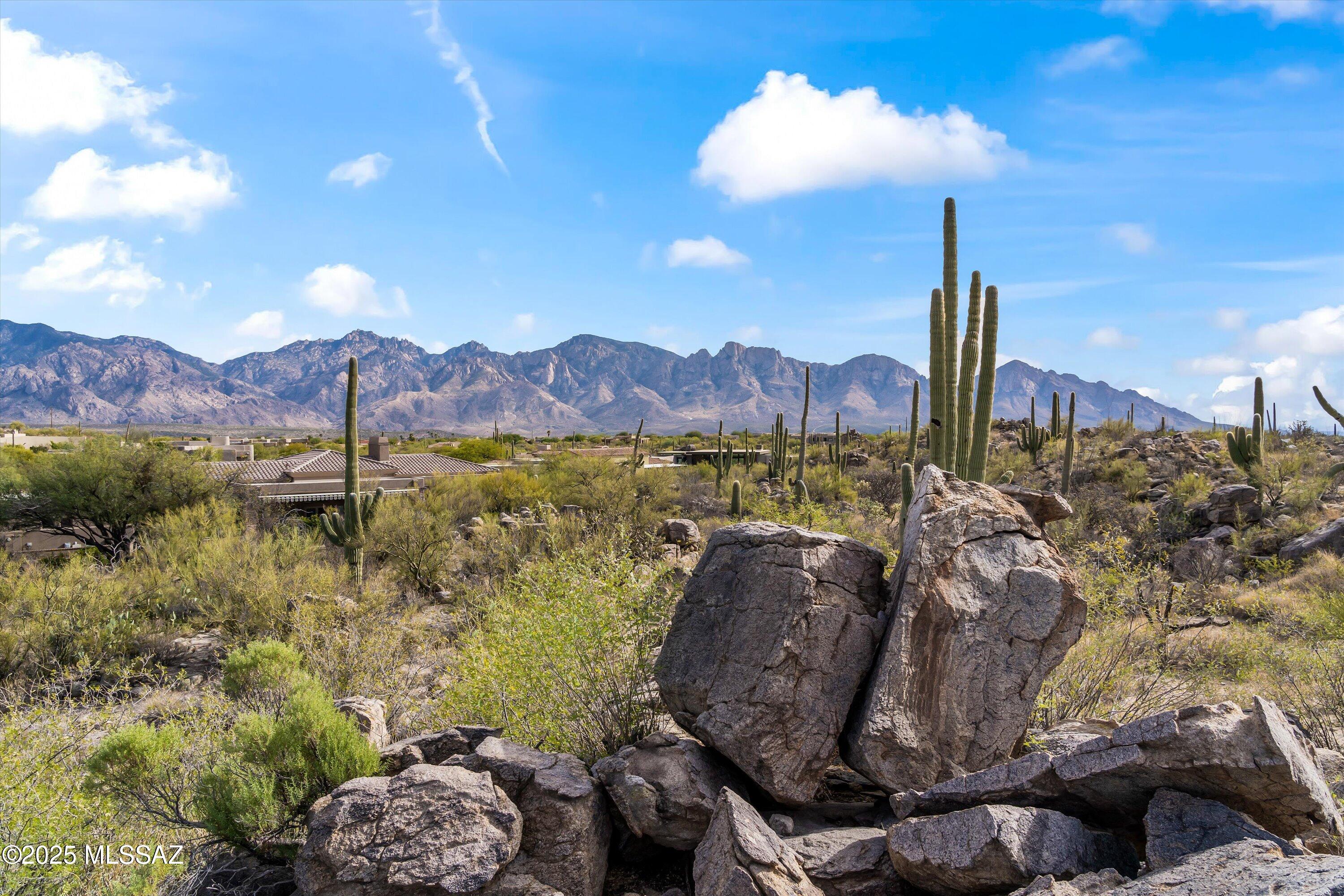 530 E Thunderstorm Place