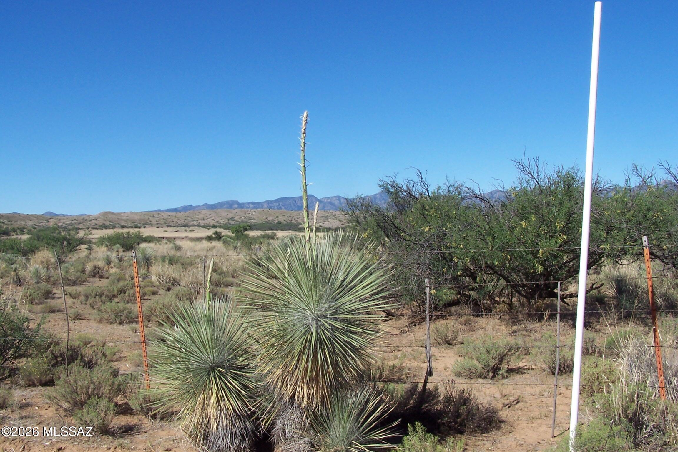 81.24ac S Warpaint Path 13&14