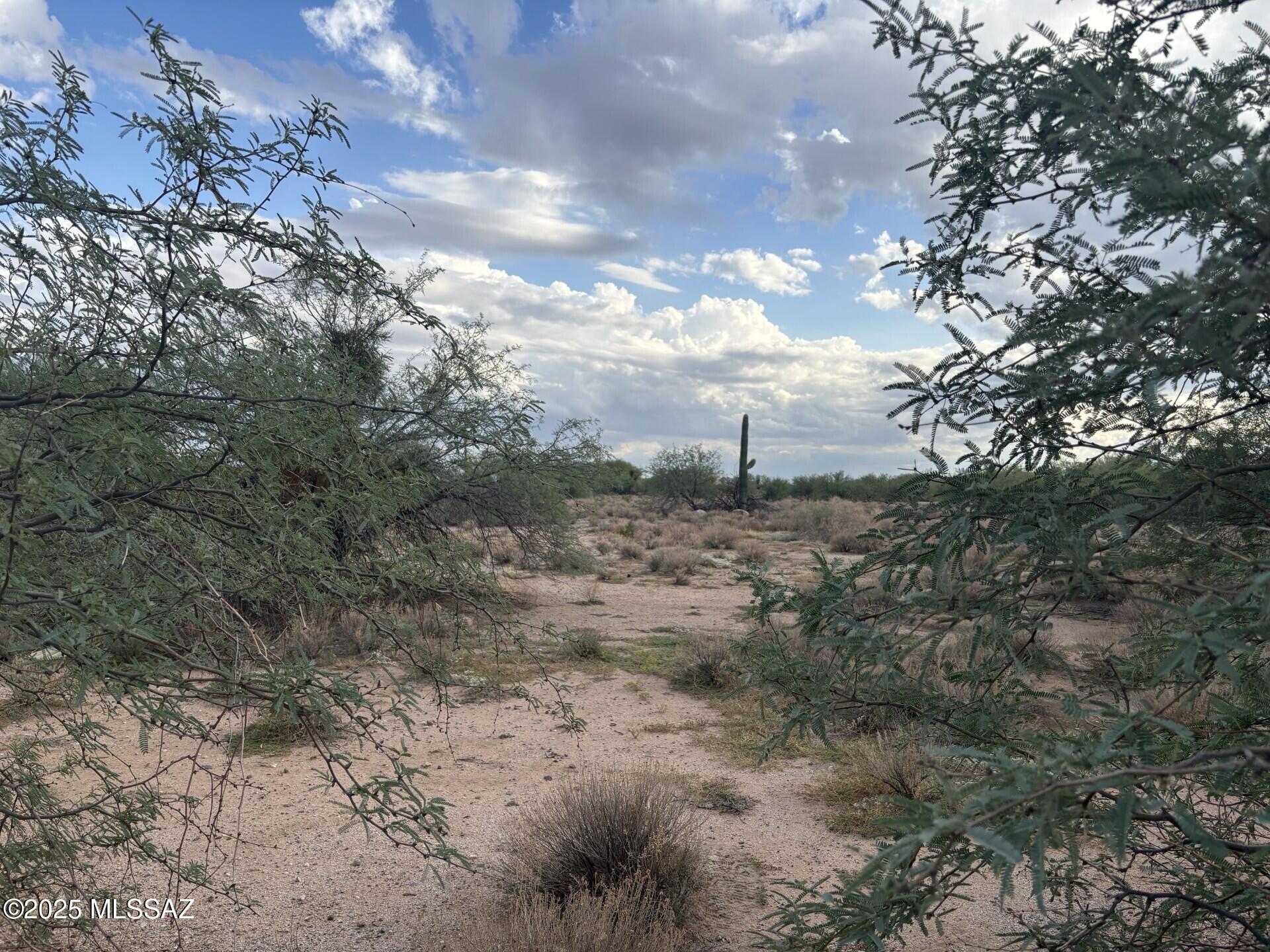 16035 W El Tiro Road