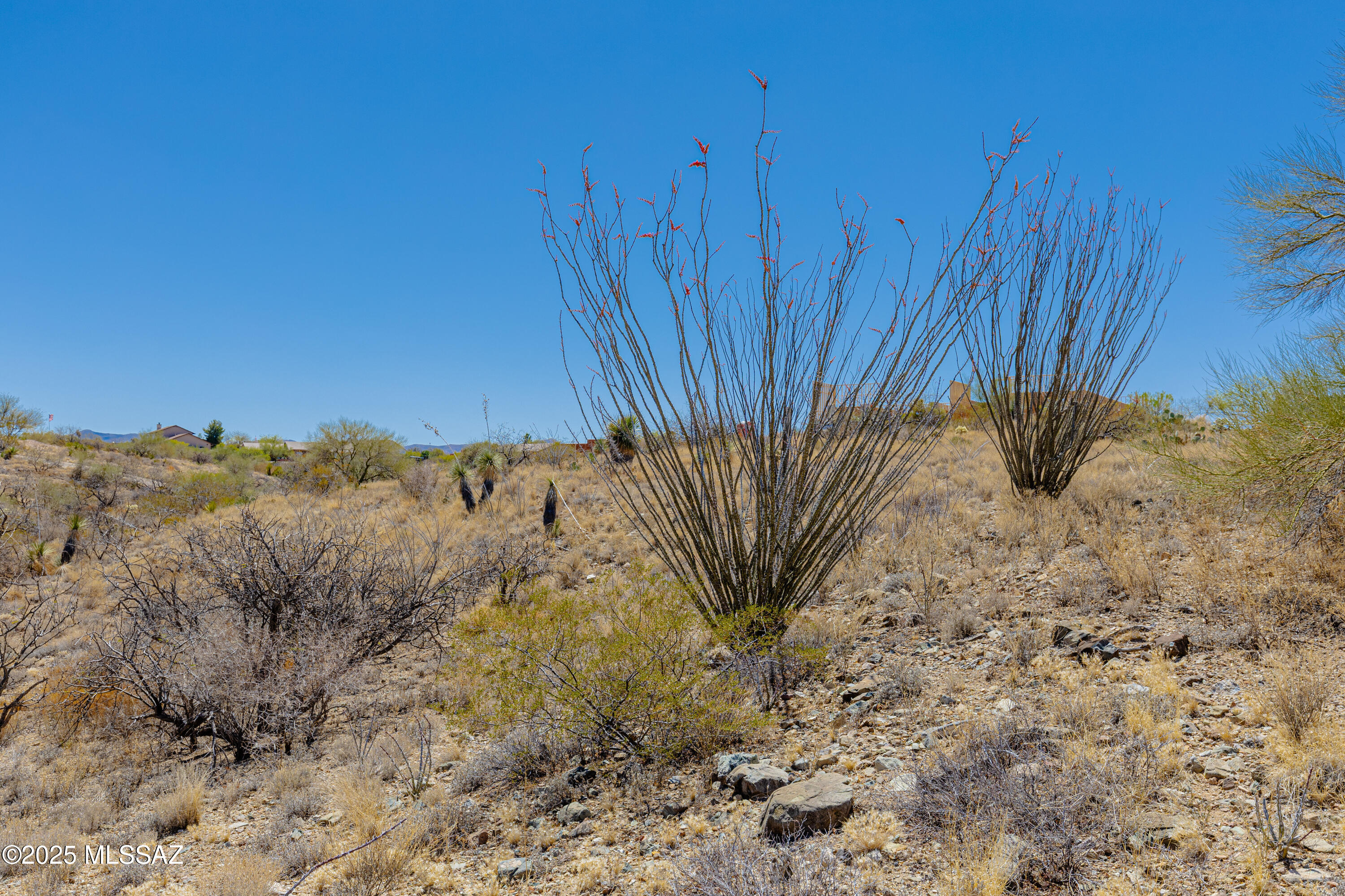 New Tucson Unit NO. 25 - Land
