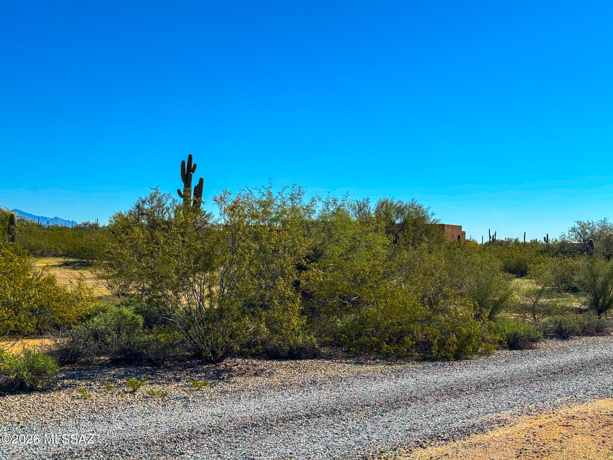 0 S Cactus Garden Way 2.5 Acres -