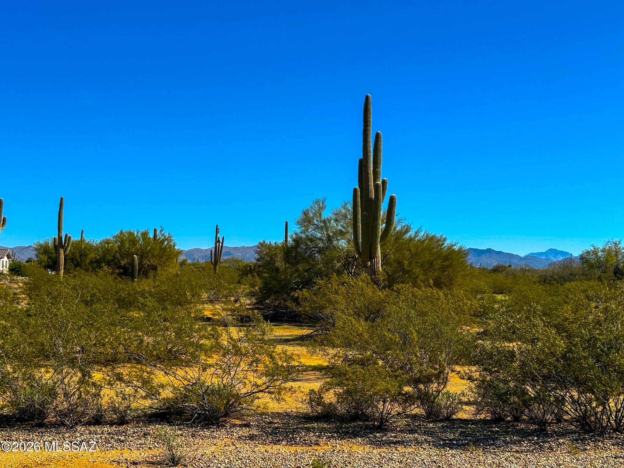 0 S Cactus Garden Way 2.5 Acres -