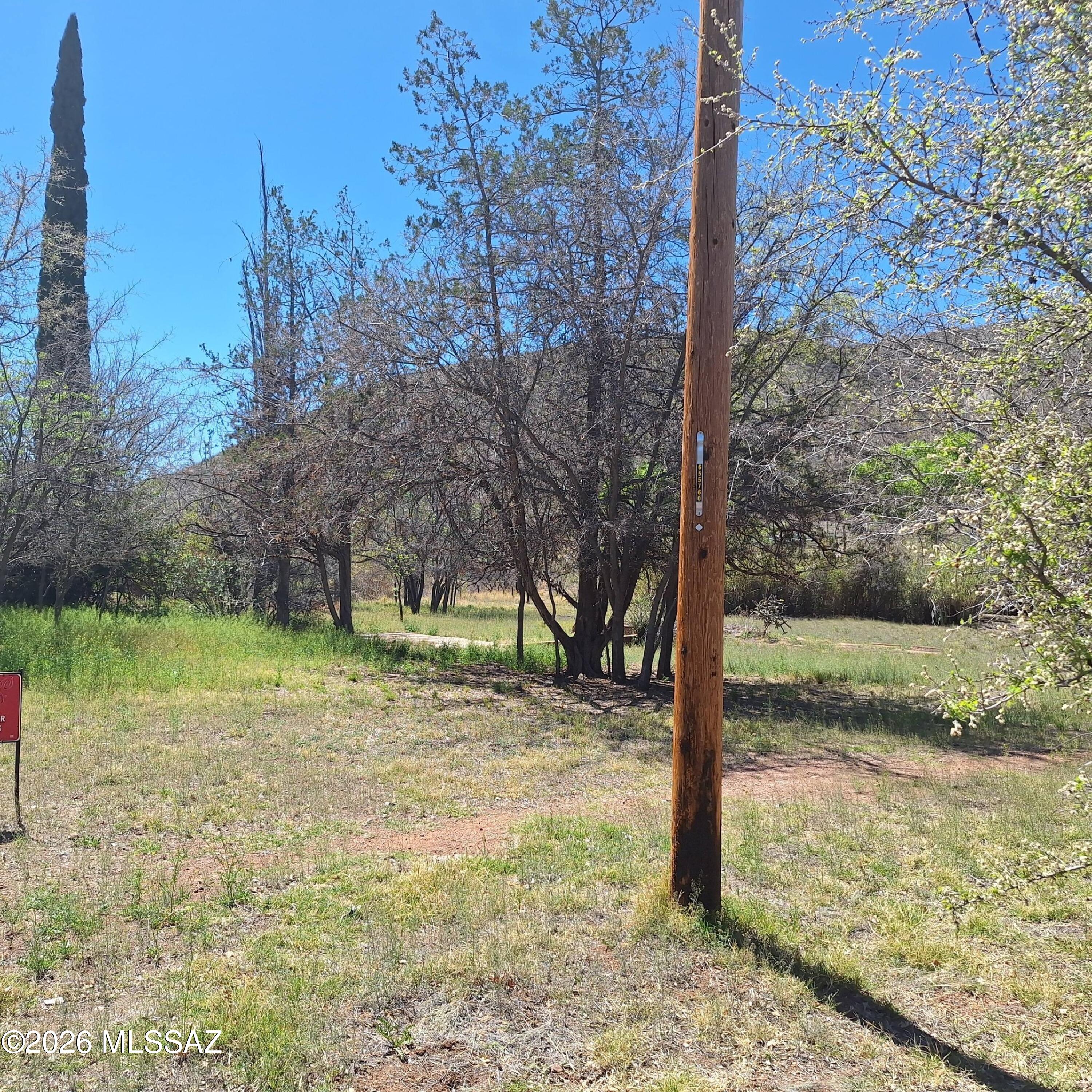 Out Of Pima County - Land