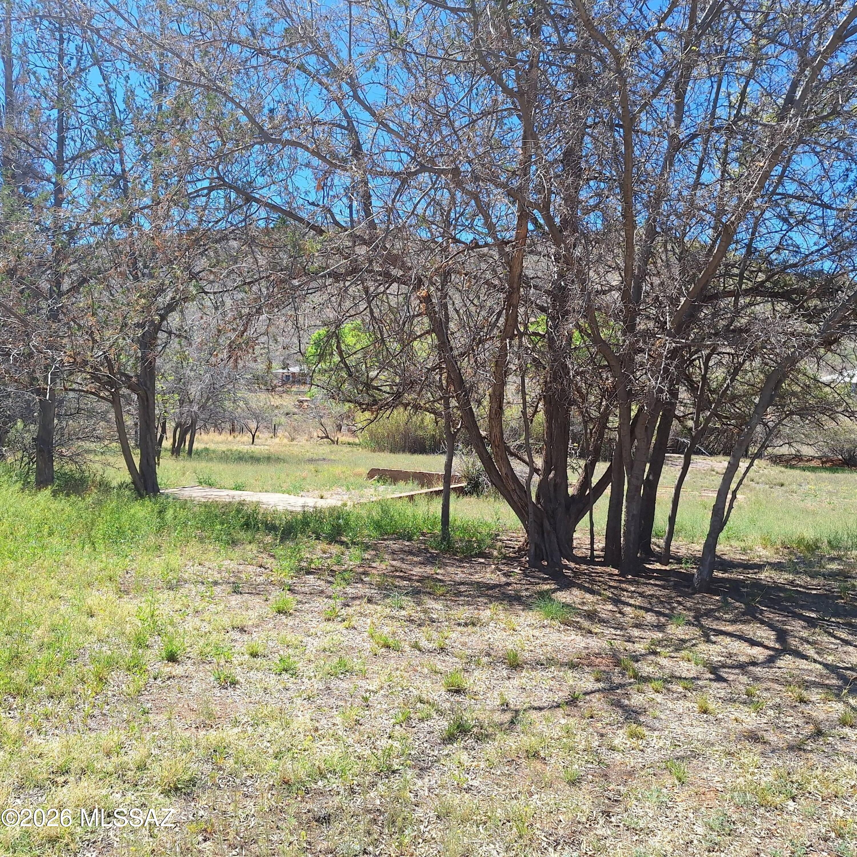 Out Of Pima County - Land