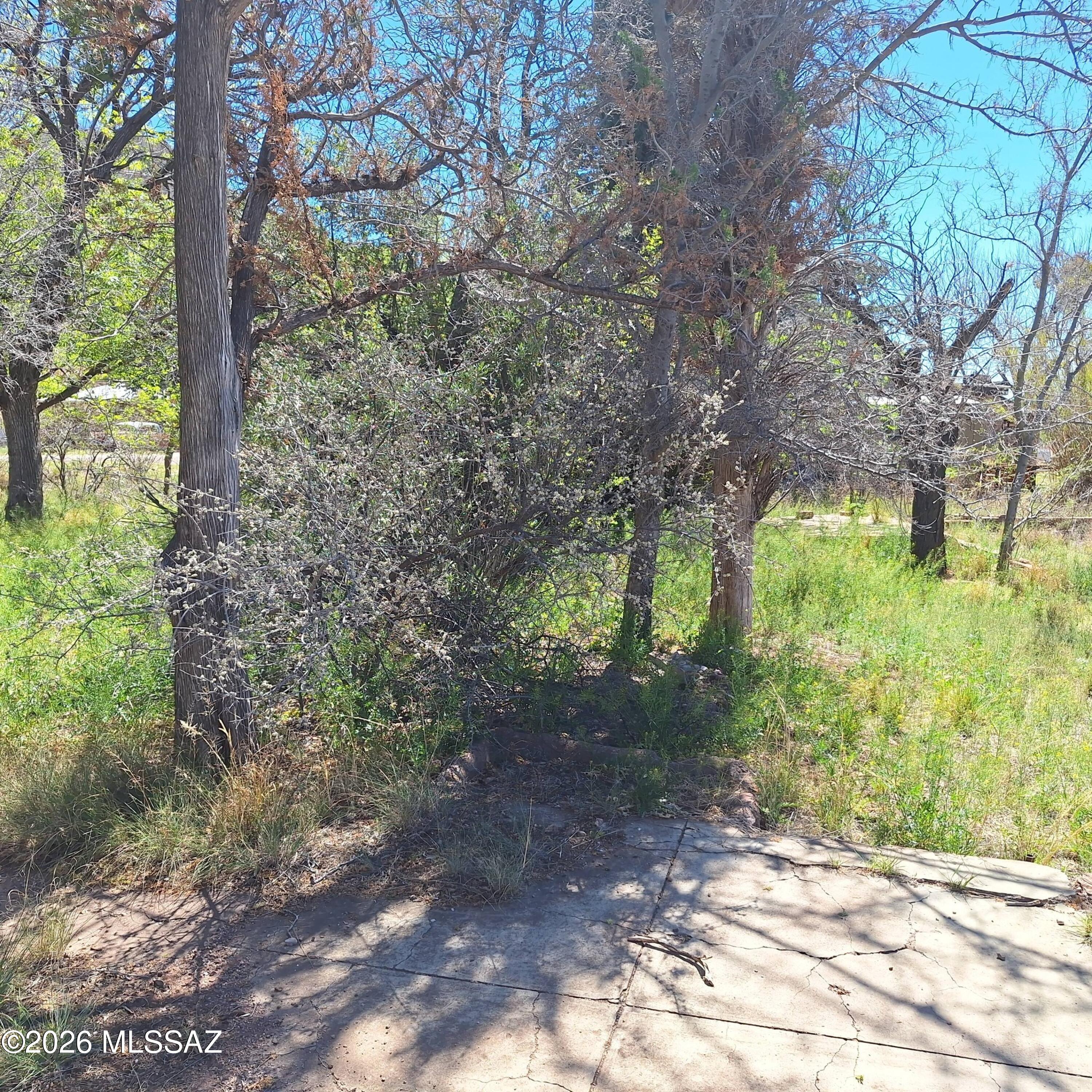 Out Of Pima County - Land