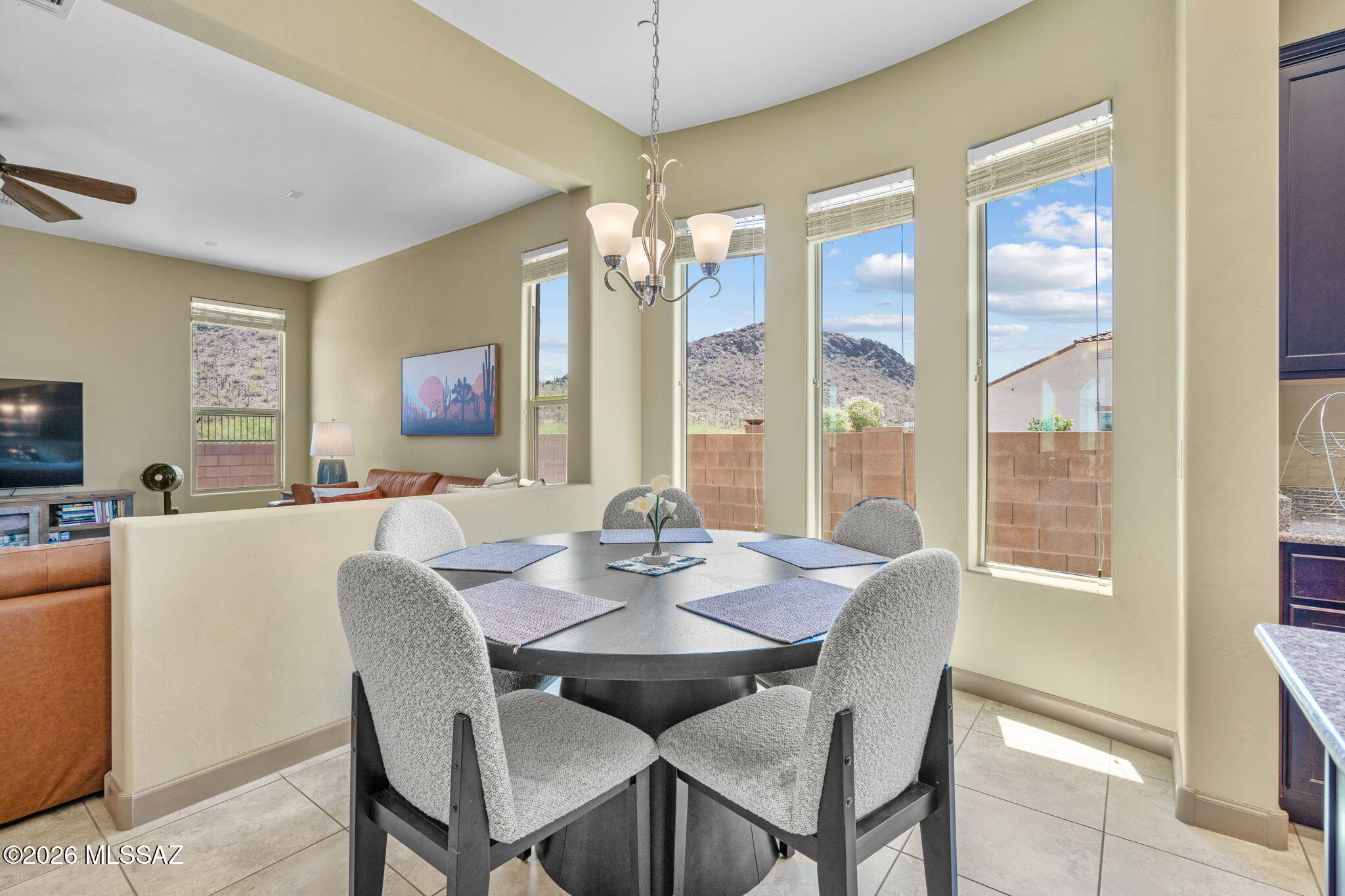 Saguaro Springs Block 8B (131-399) - Residential