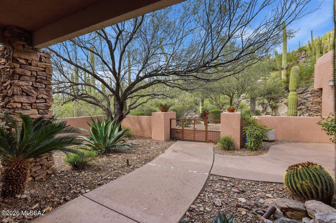 14125 N Gallery Place