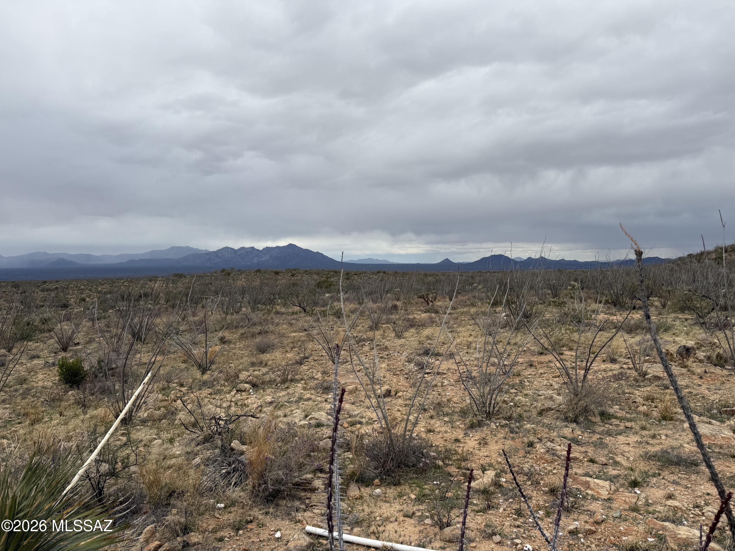 16300 S Alsip Street