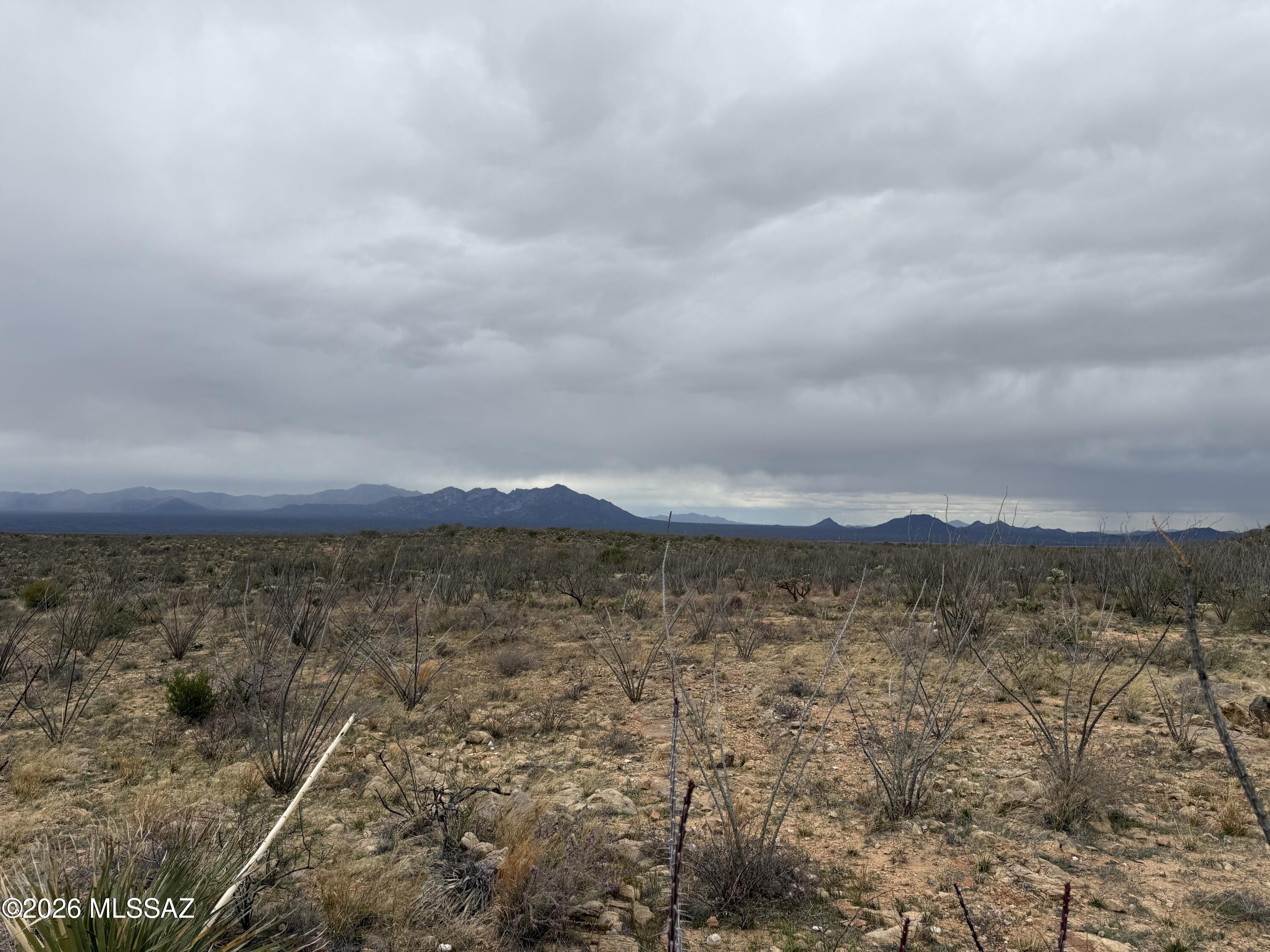 16300 S Alsip Street