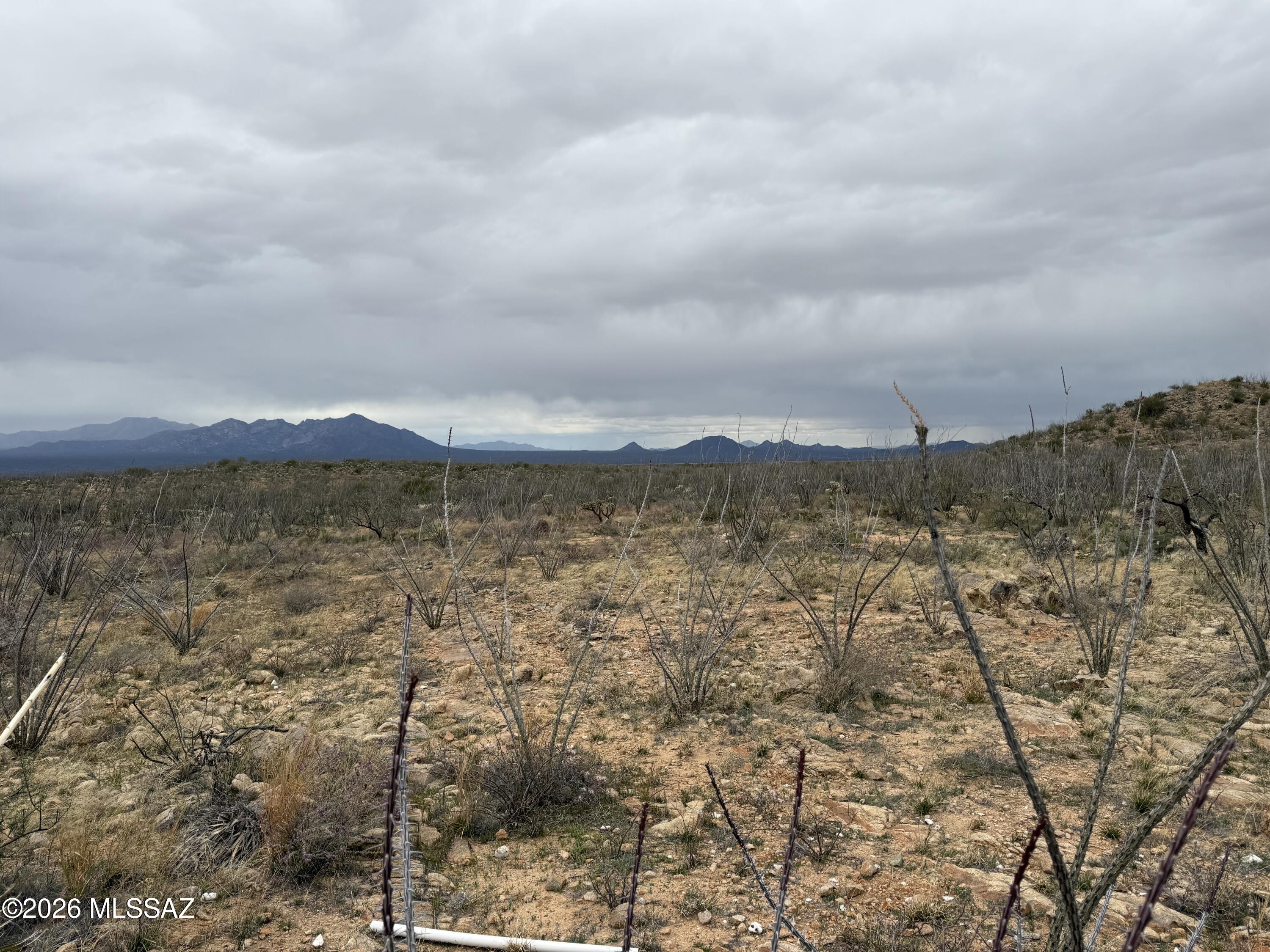 16300 S Alsip Street