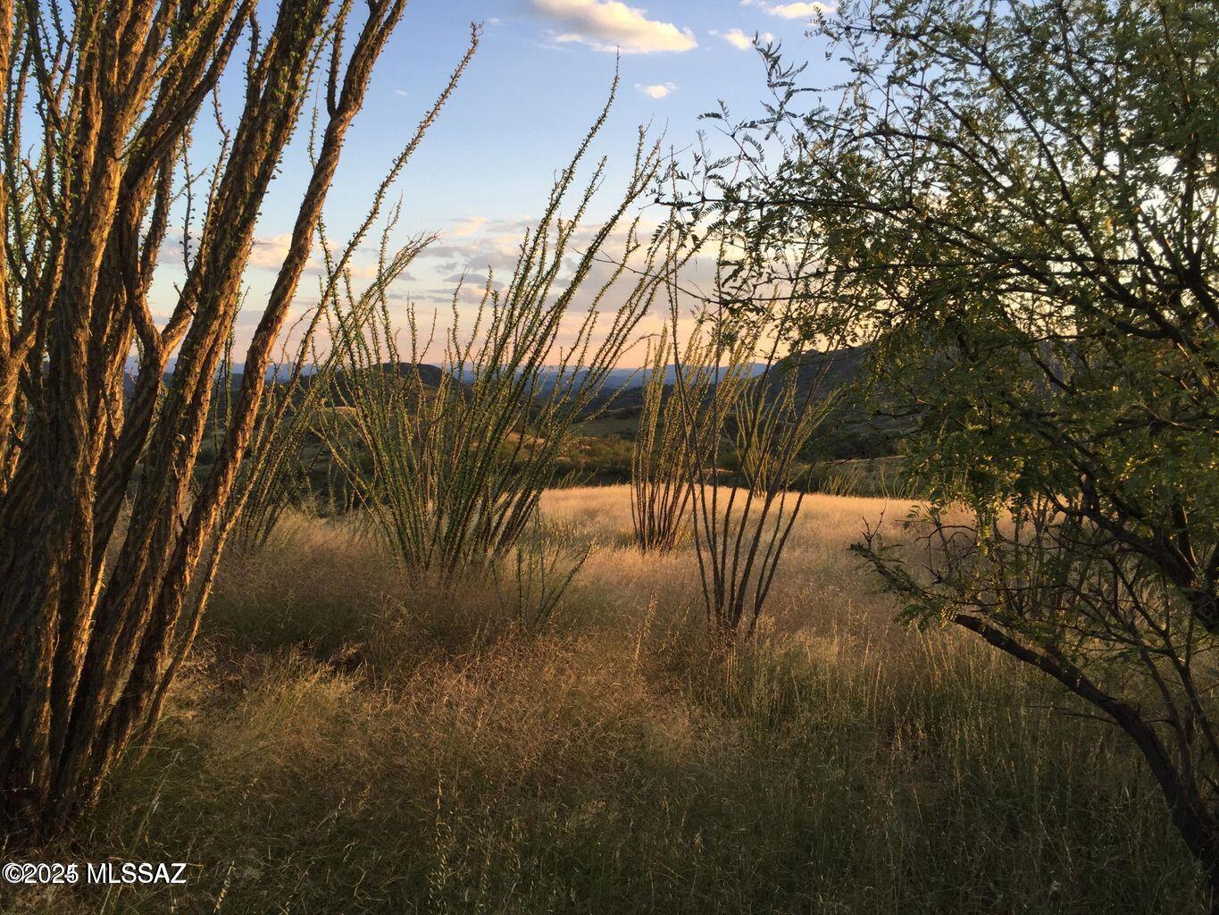 Salero Ranch - Land