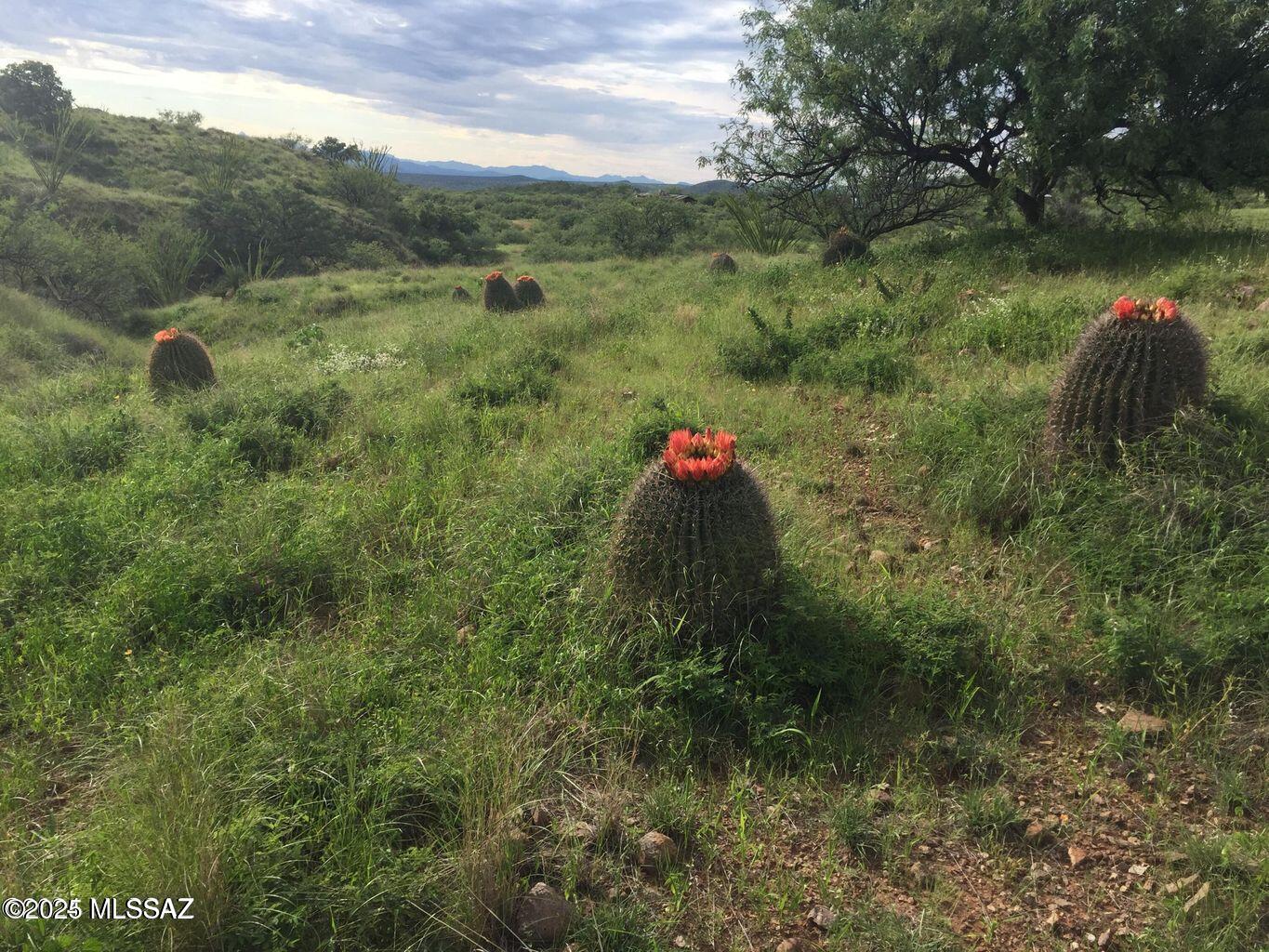 Salero Ranch - Land