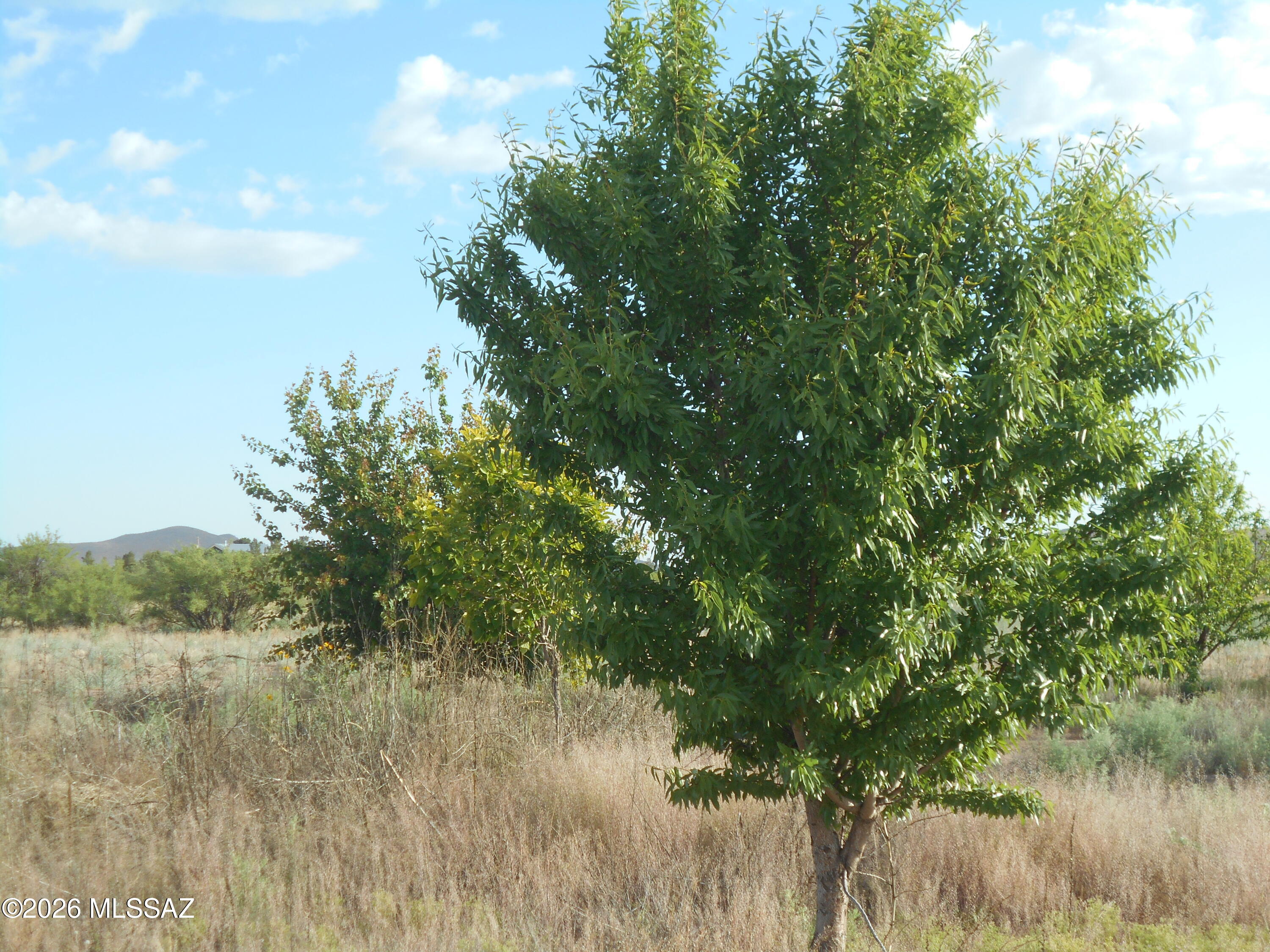 Ash Creek Ranch - Land