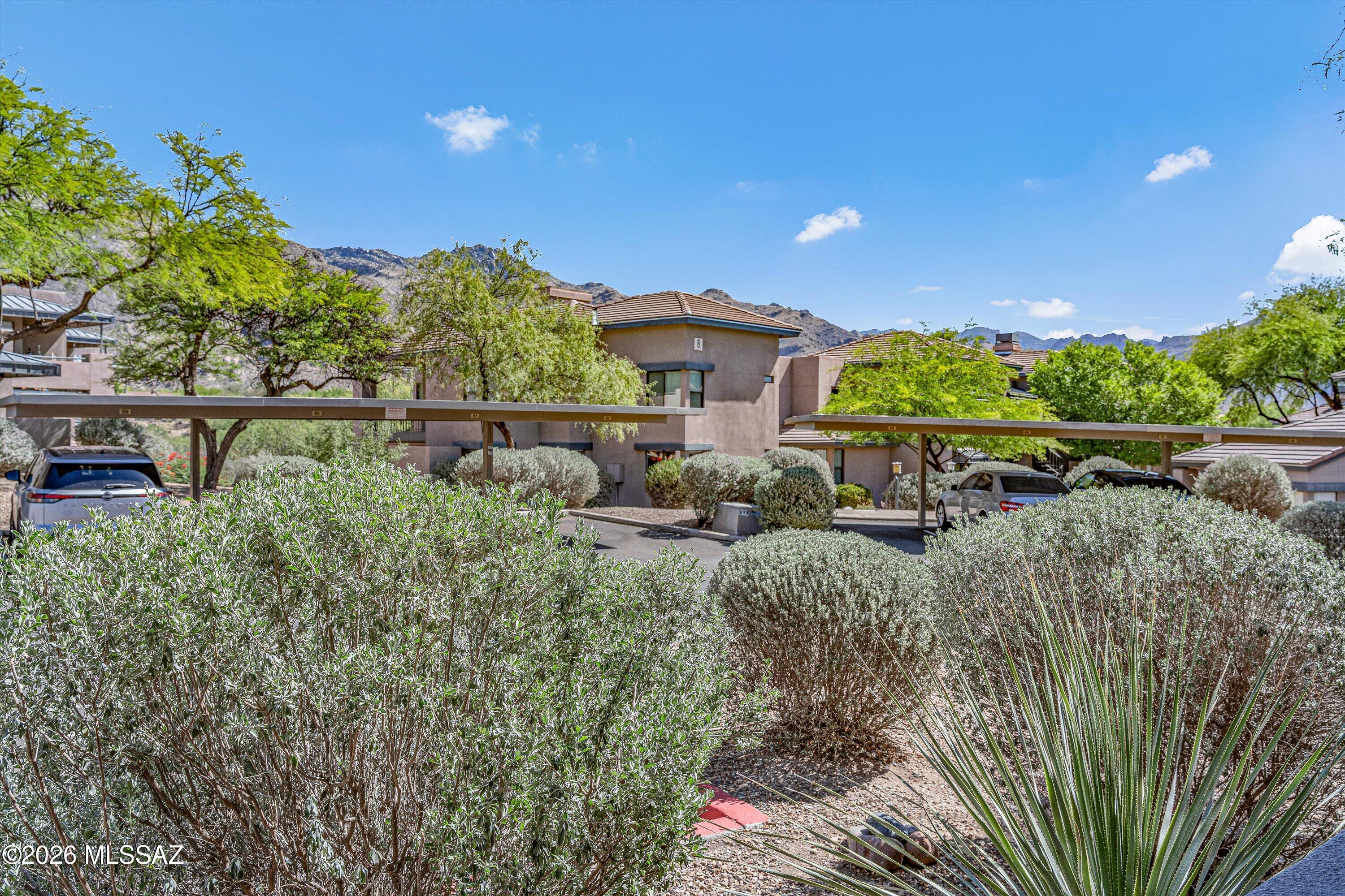 Greens at Ventana Canyon - Residential
