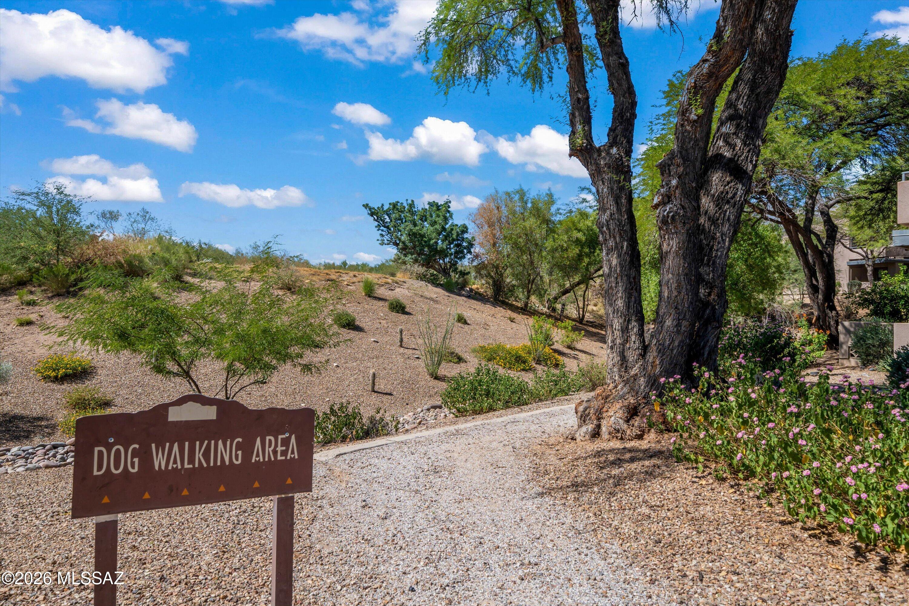 Greens at Ventana Canyon - Residential