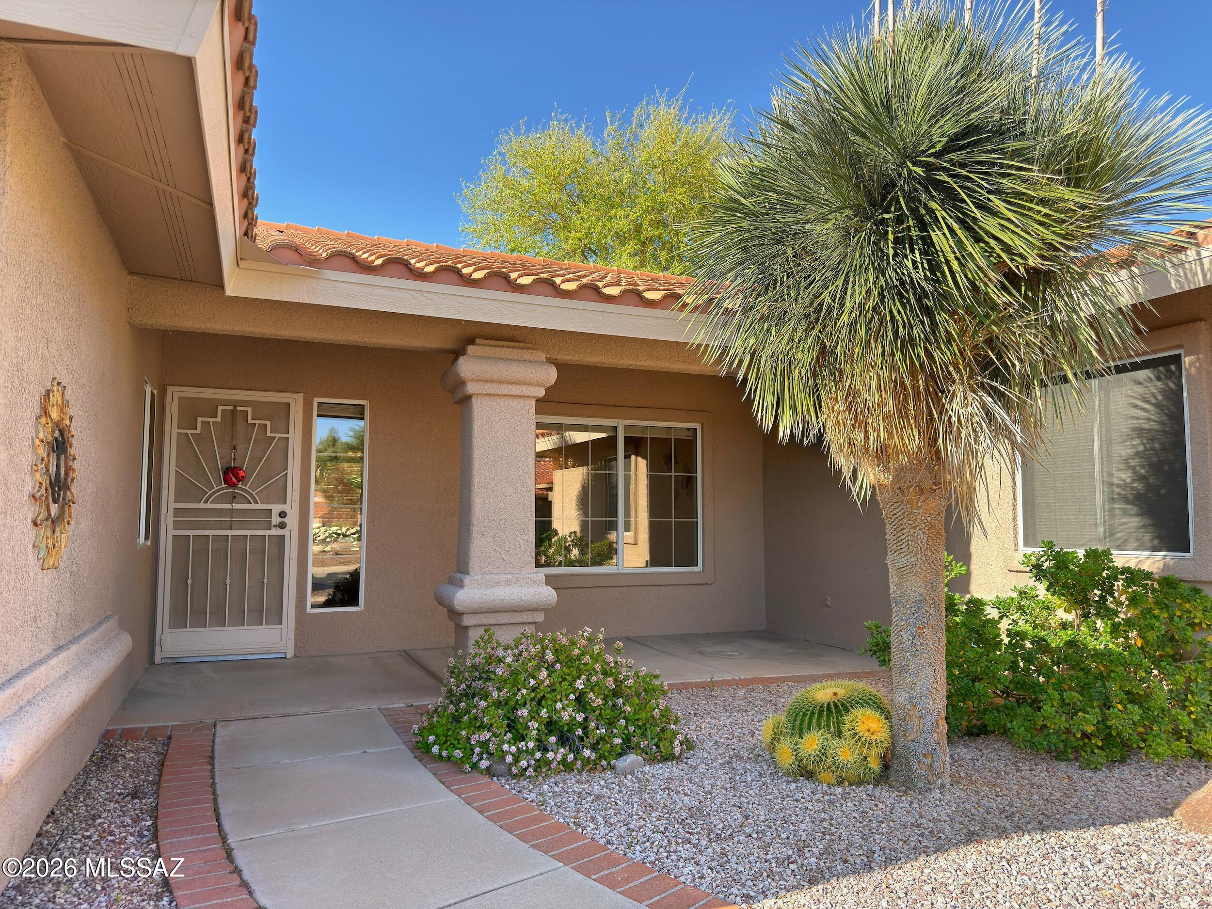 2349 E Agapanthus Street