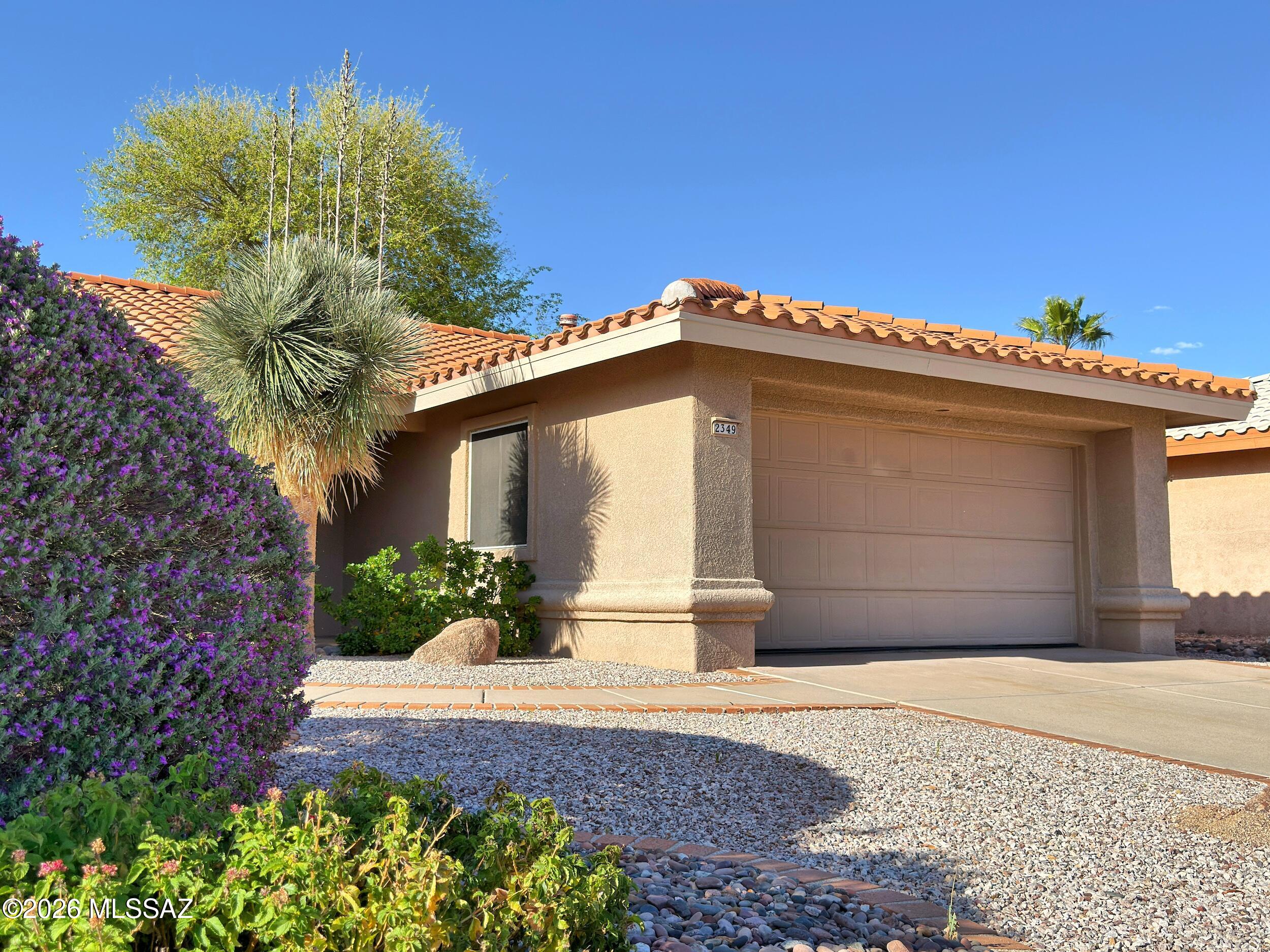 2349 E Agapanthus Street