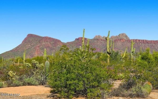 10306 W RUDASILL RD, TUCSON, AZ 85743 - Image 5da7d461386f80e726ca71ecbefee2bb/399191708