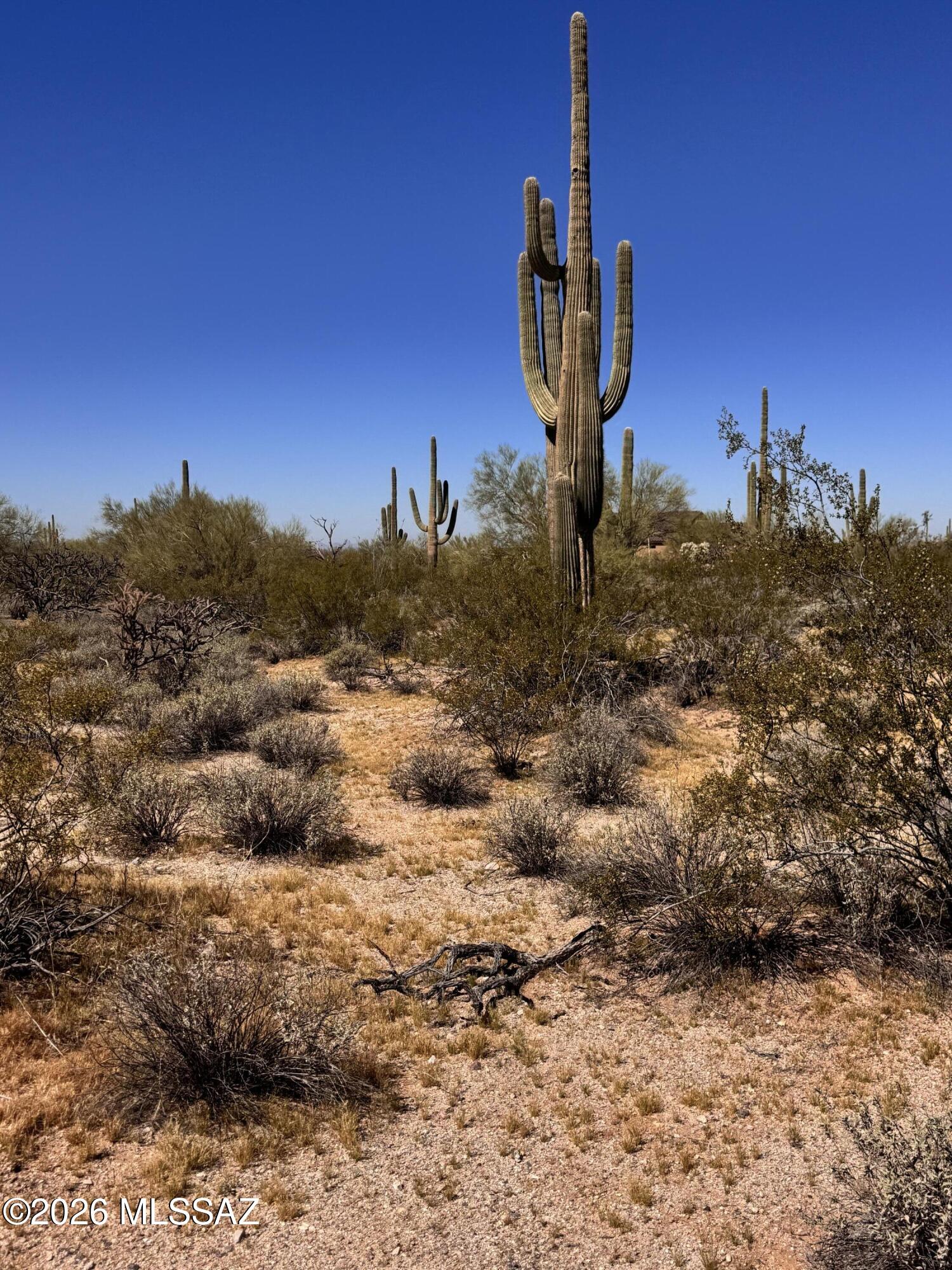 0 S Cattle Tank Road 0