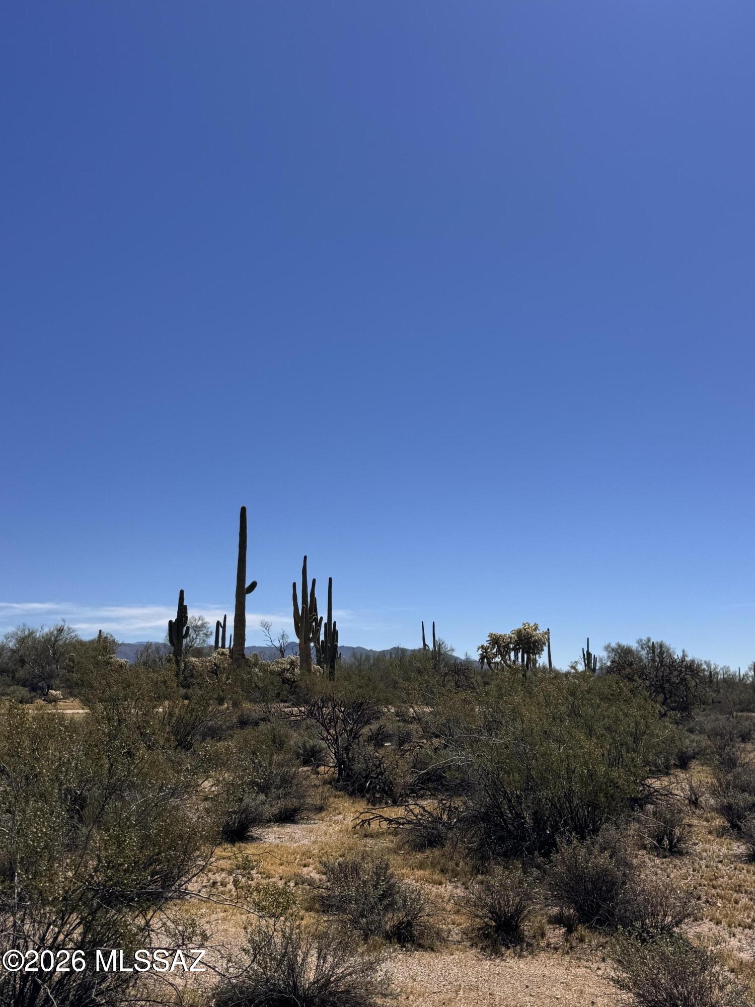 0 S Cattle Tank Road 0