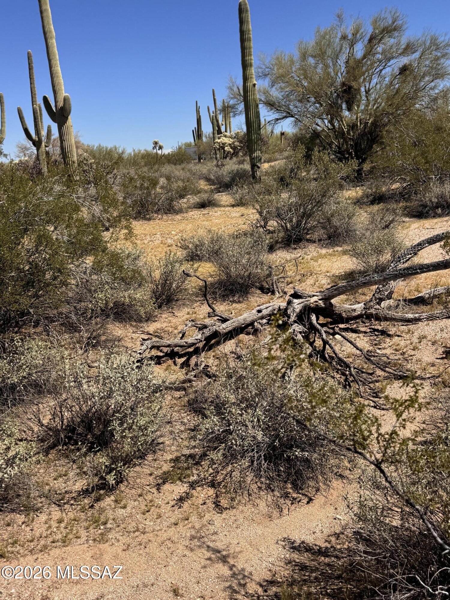 0 S Cattle Tank Road 0