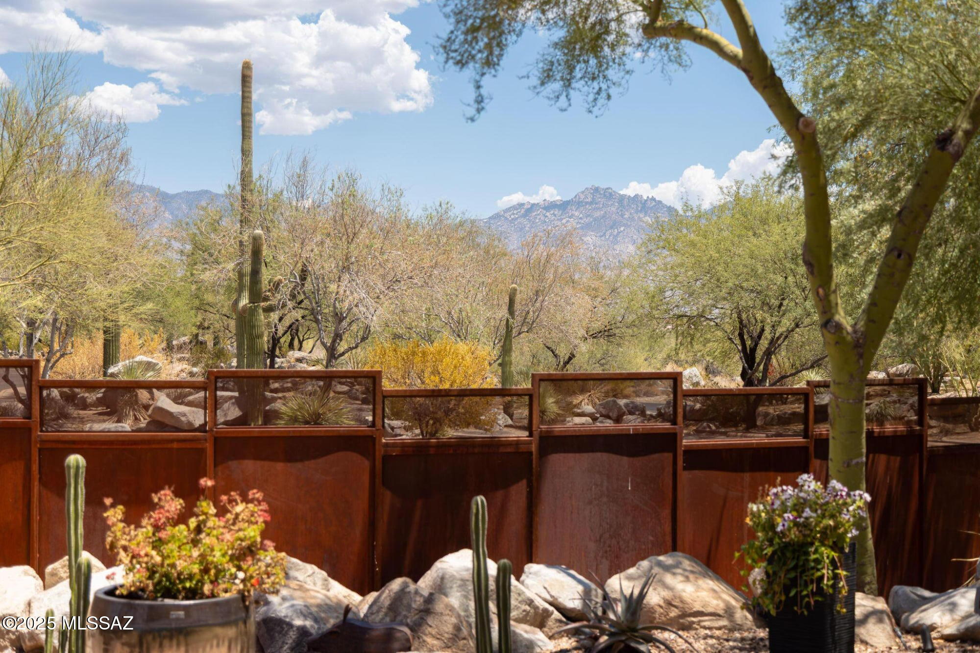 14310 N Mickelson Canyon Court