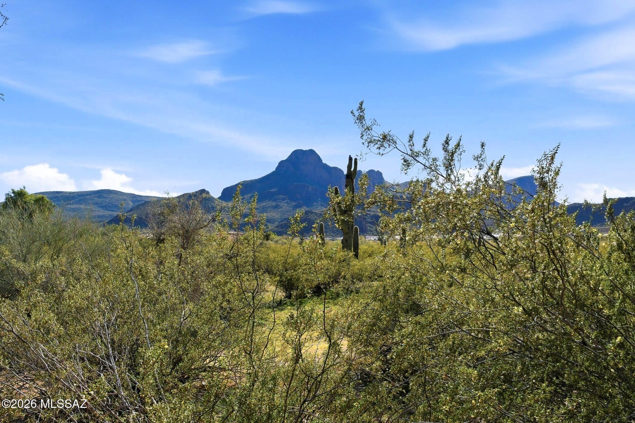 Twin Peaks Highland (1-119) - Residential