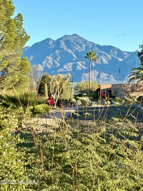 1571 W Calle De Plata Green Valley AZ 85622