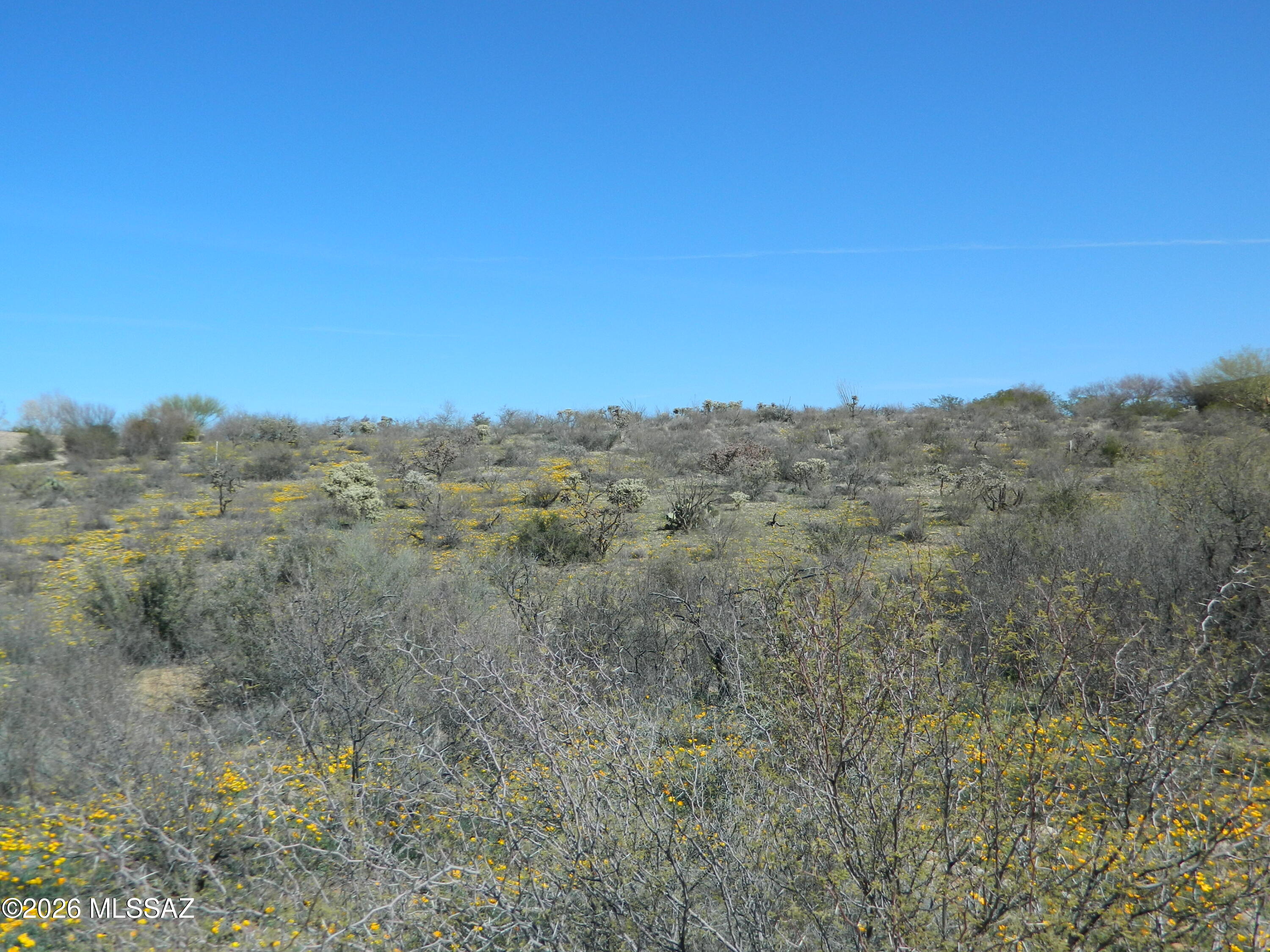 Colonia Real (1-50) - Land