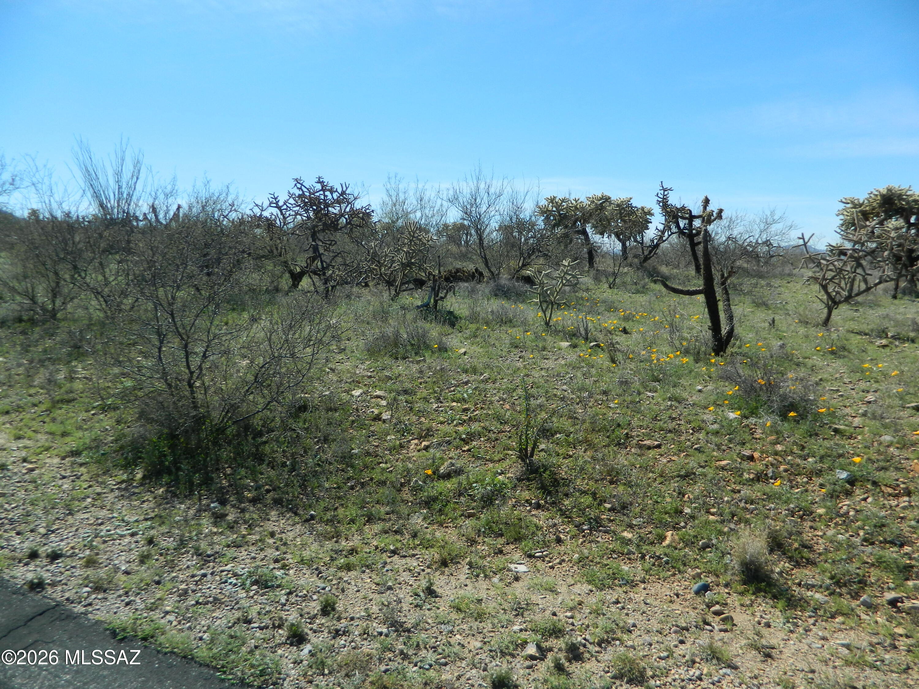 Colonia Real (1-50) - Land