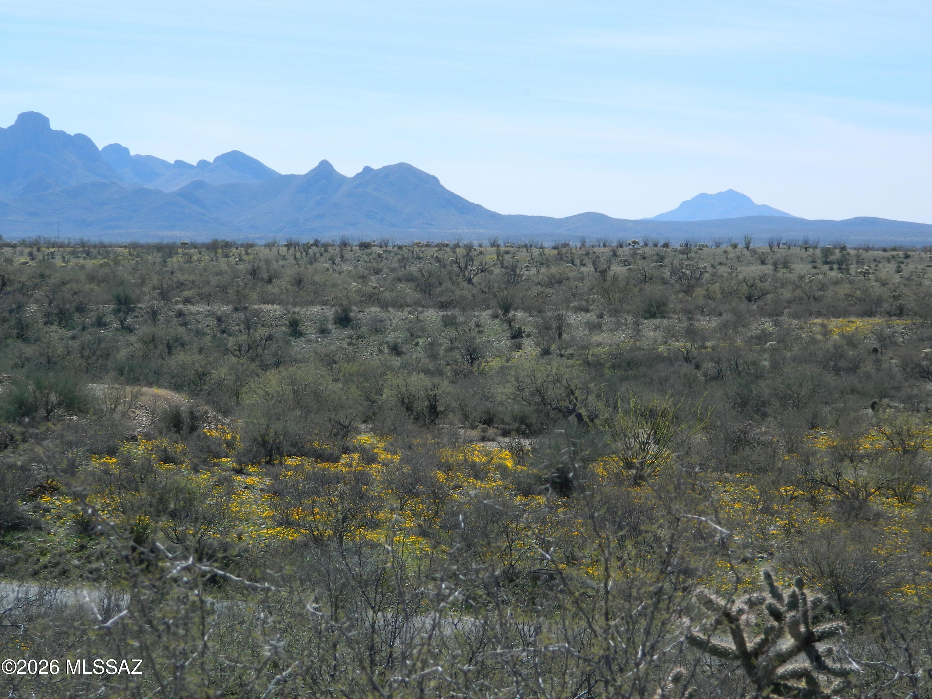 Colonia Real (1-50) - Land