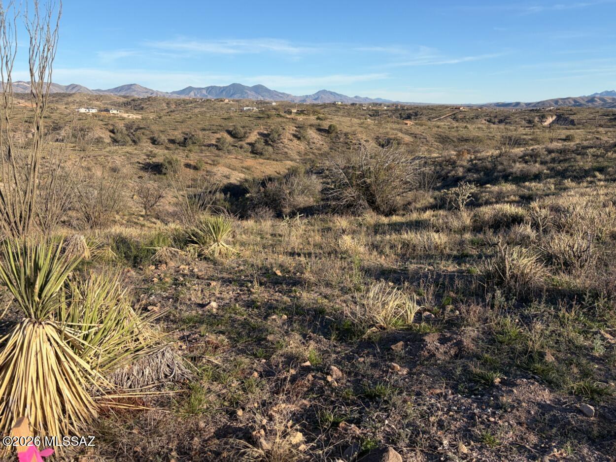 1115 Zaragoza Court 32