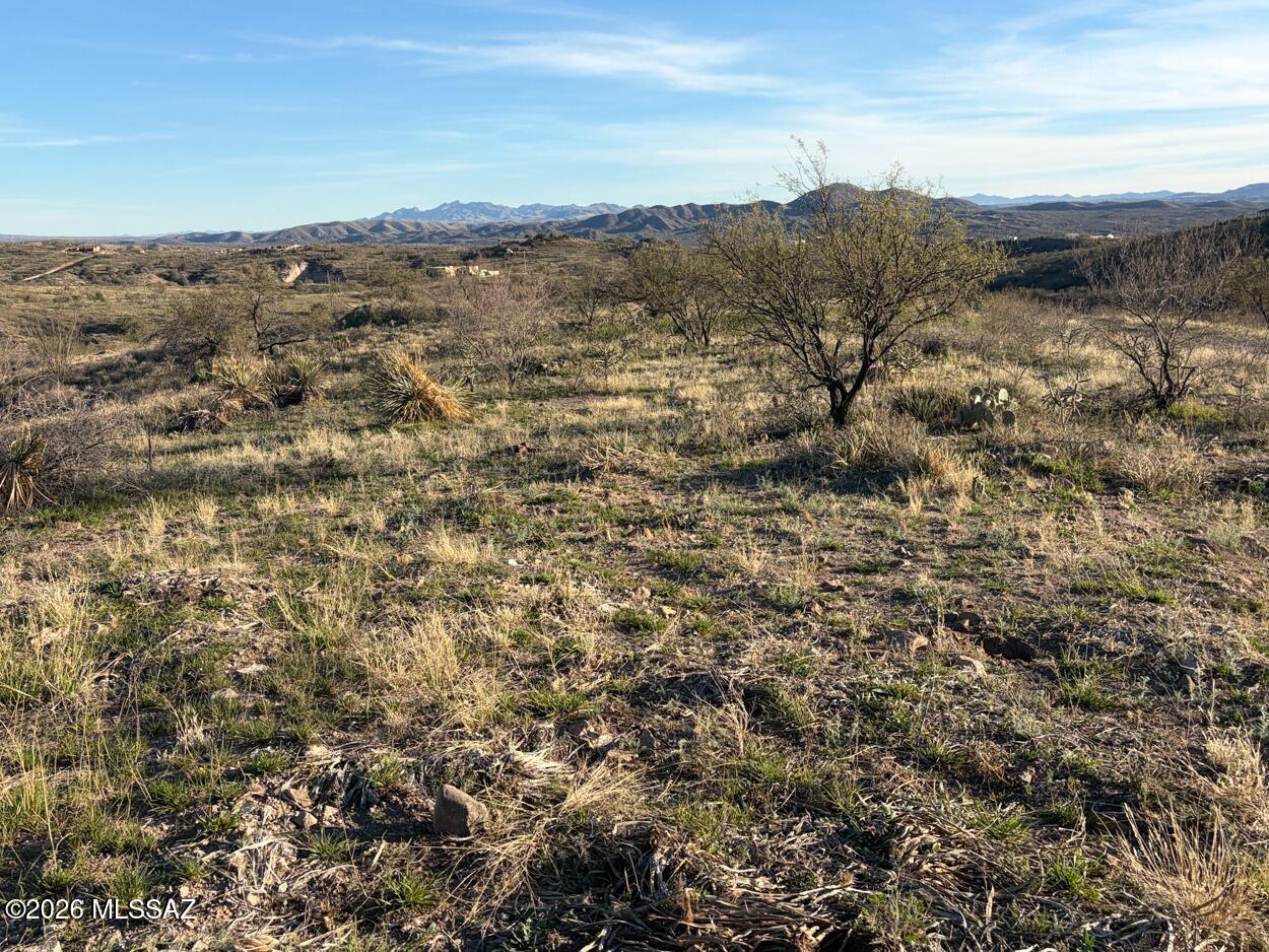 1115 Zaragoza Court 32